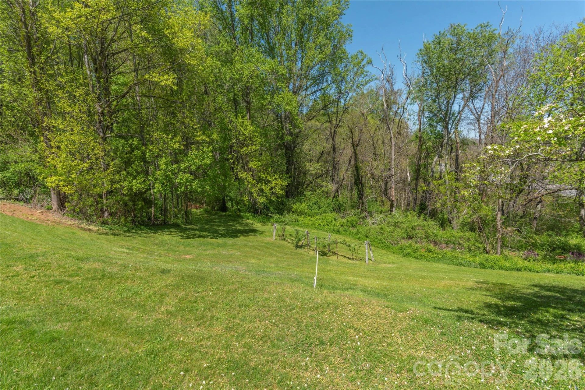 96 Tower Lane - Photo 23