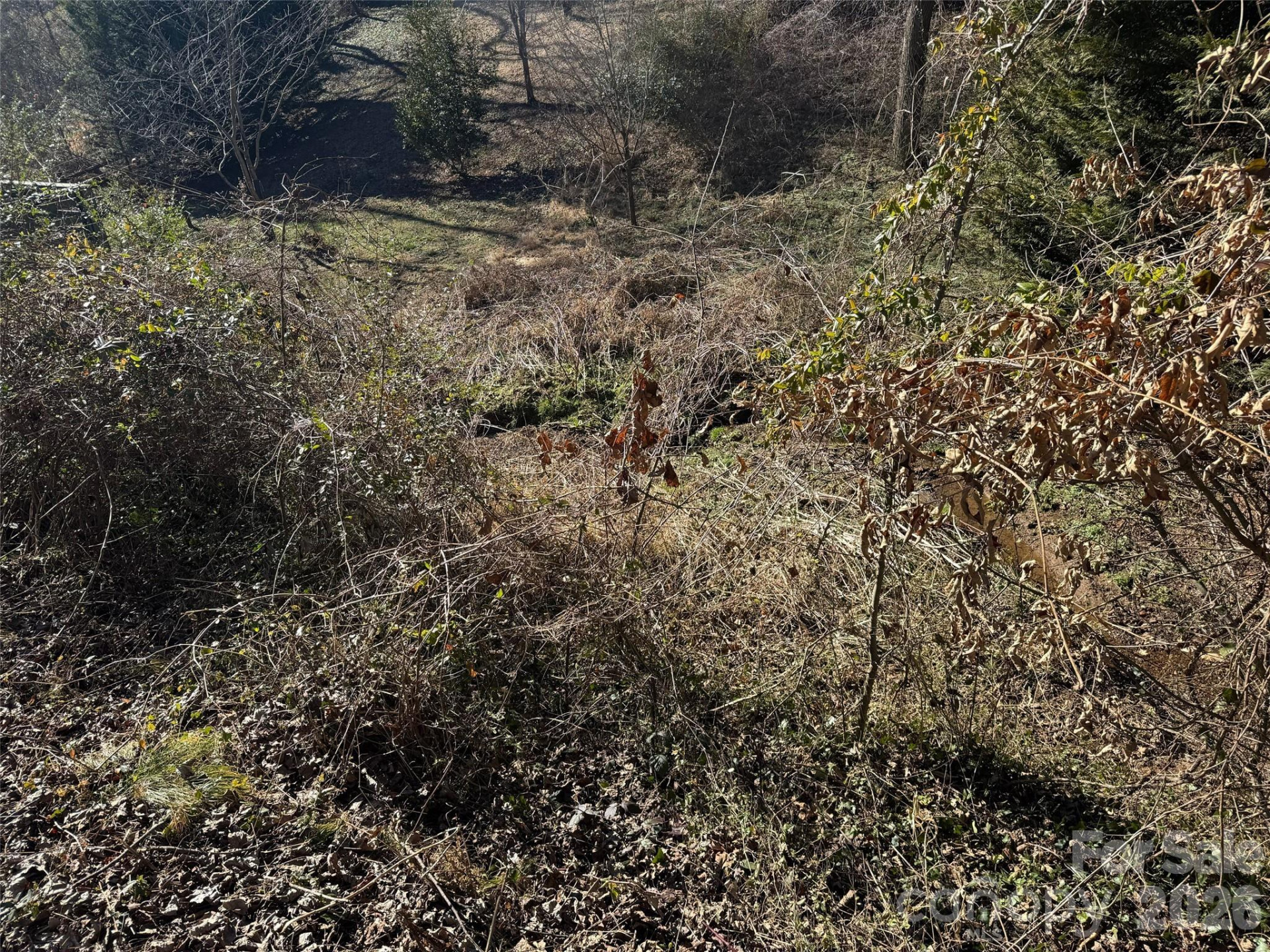 56 Moore Avenue - Photo 16