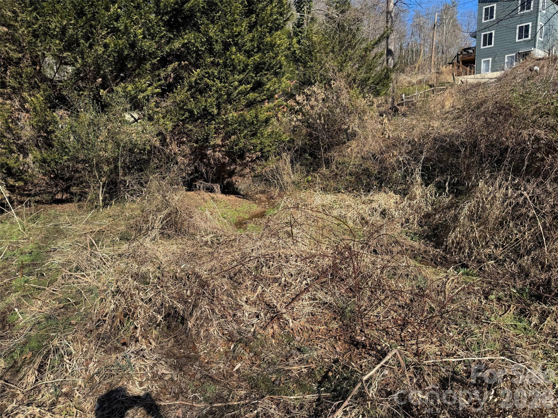 56 Moore Avenue - Photo 19