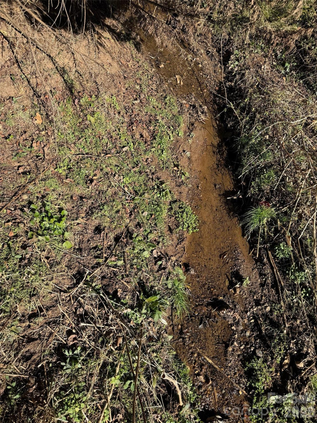 56 Moore Avenue - Photo 23