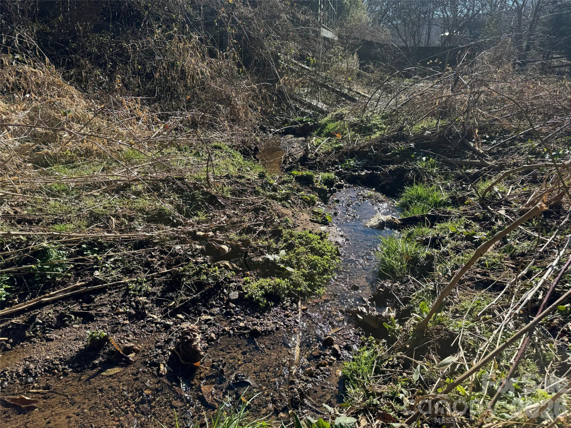 56 Moore Avenue - Photo 24