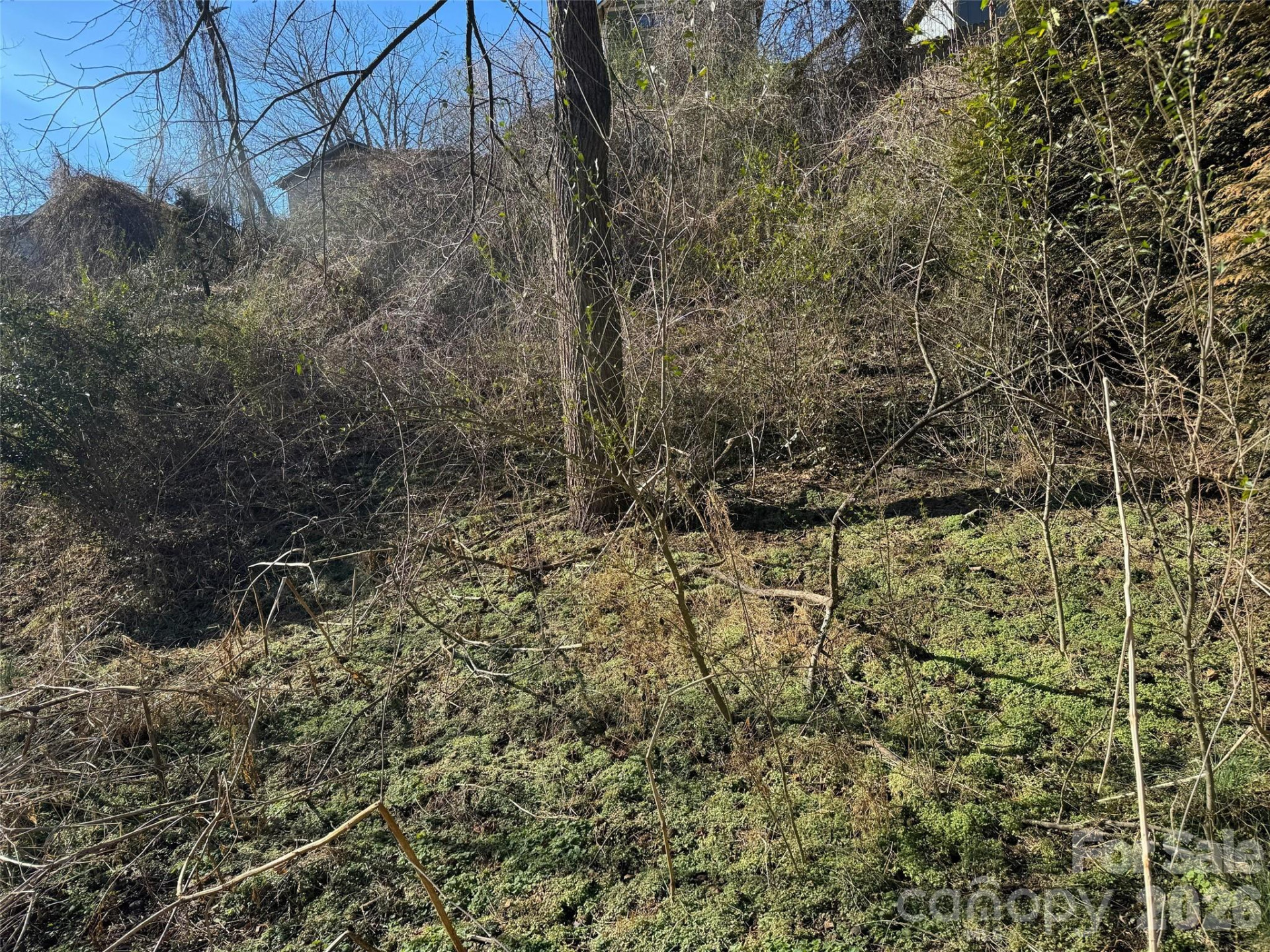 56 Moore Avenue - Photo 25