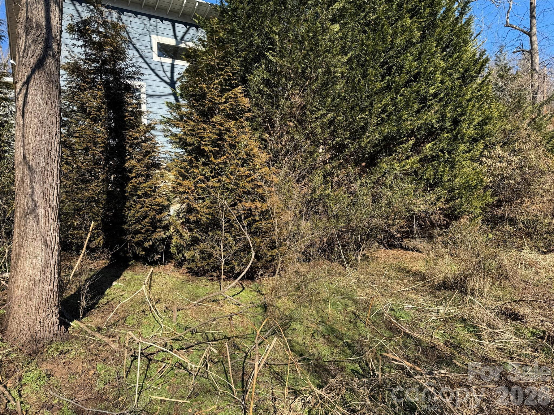 56 Moore Avenue - Photo 26