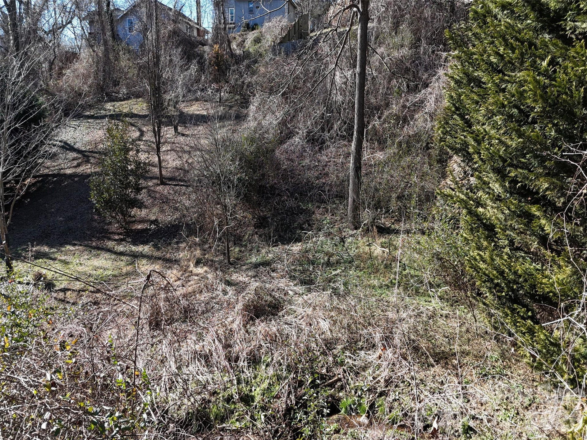 56 Moore Avenue - Photo 8