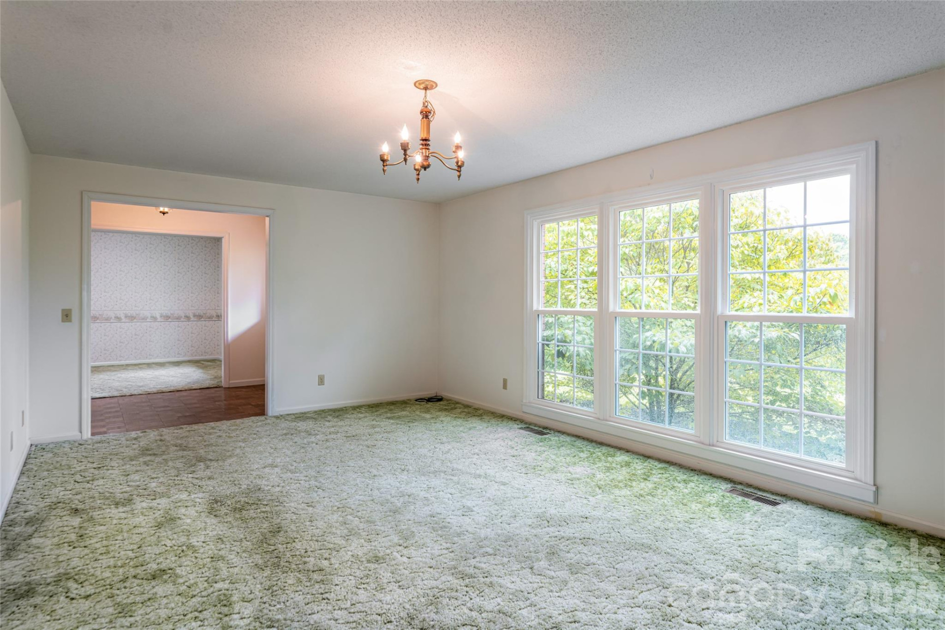 15 Lackey Lane - Photo 13