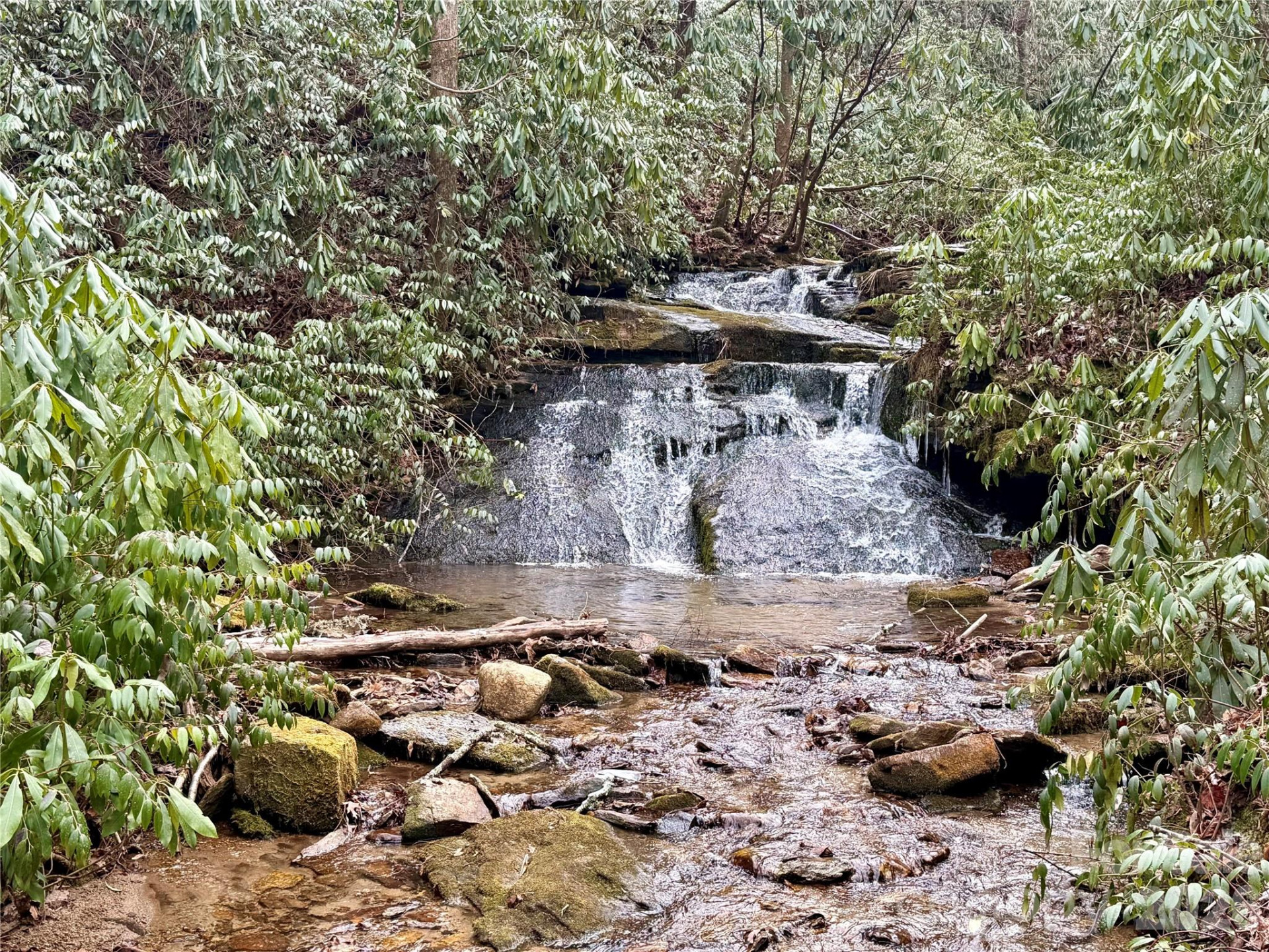 581 Hubbard Hollow Road - Photo 4