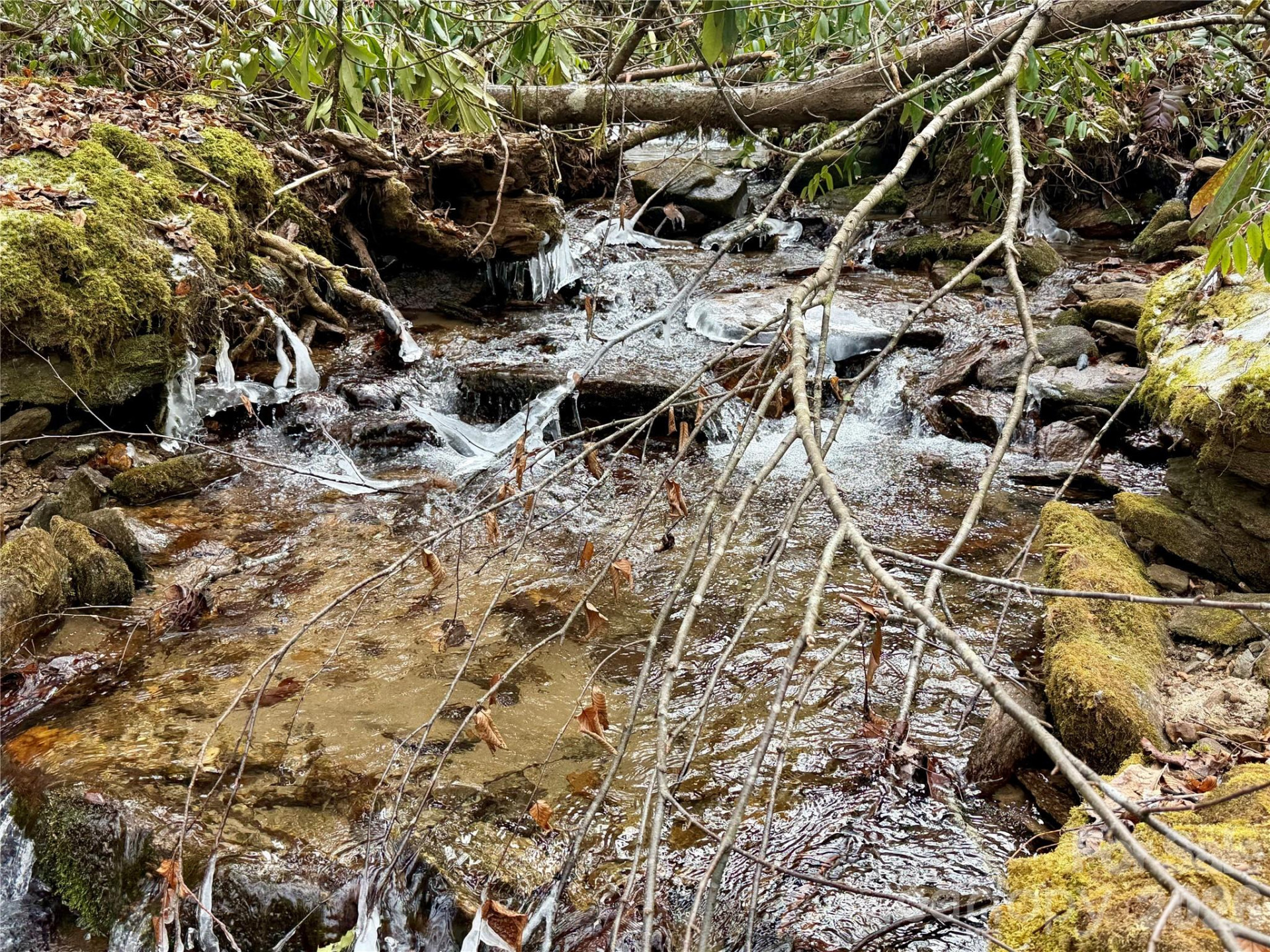 581 Hubbard Hollow Road - Photo 36