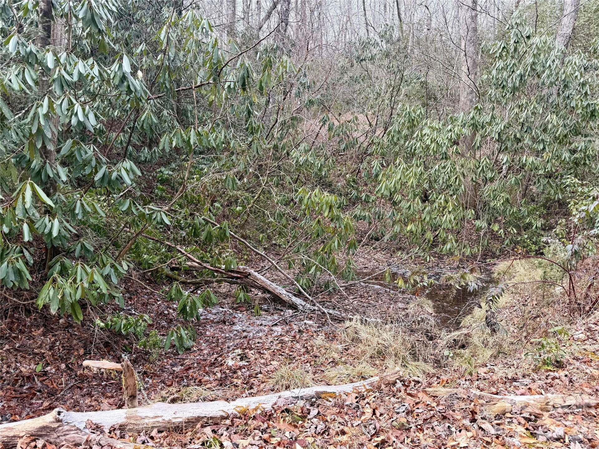 581 Hubbard Hollow Road - Photo 38