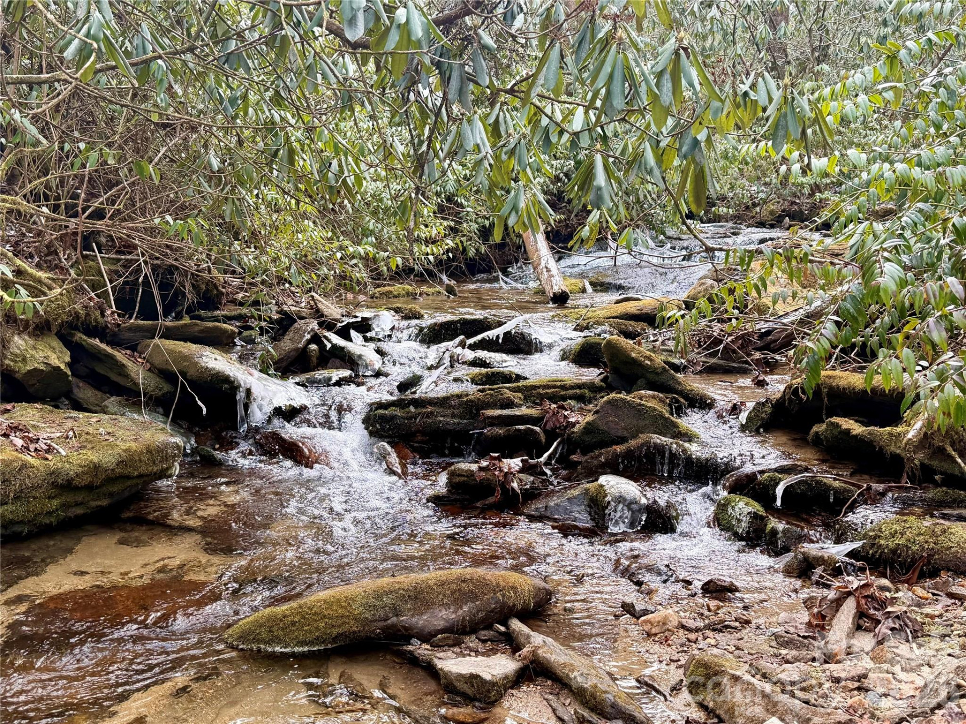 581 Hubbard Hollow Road - Photo 39