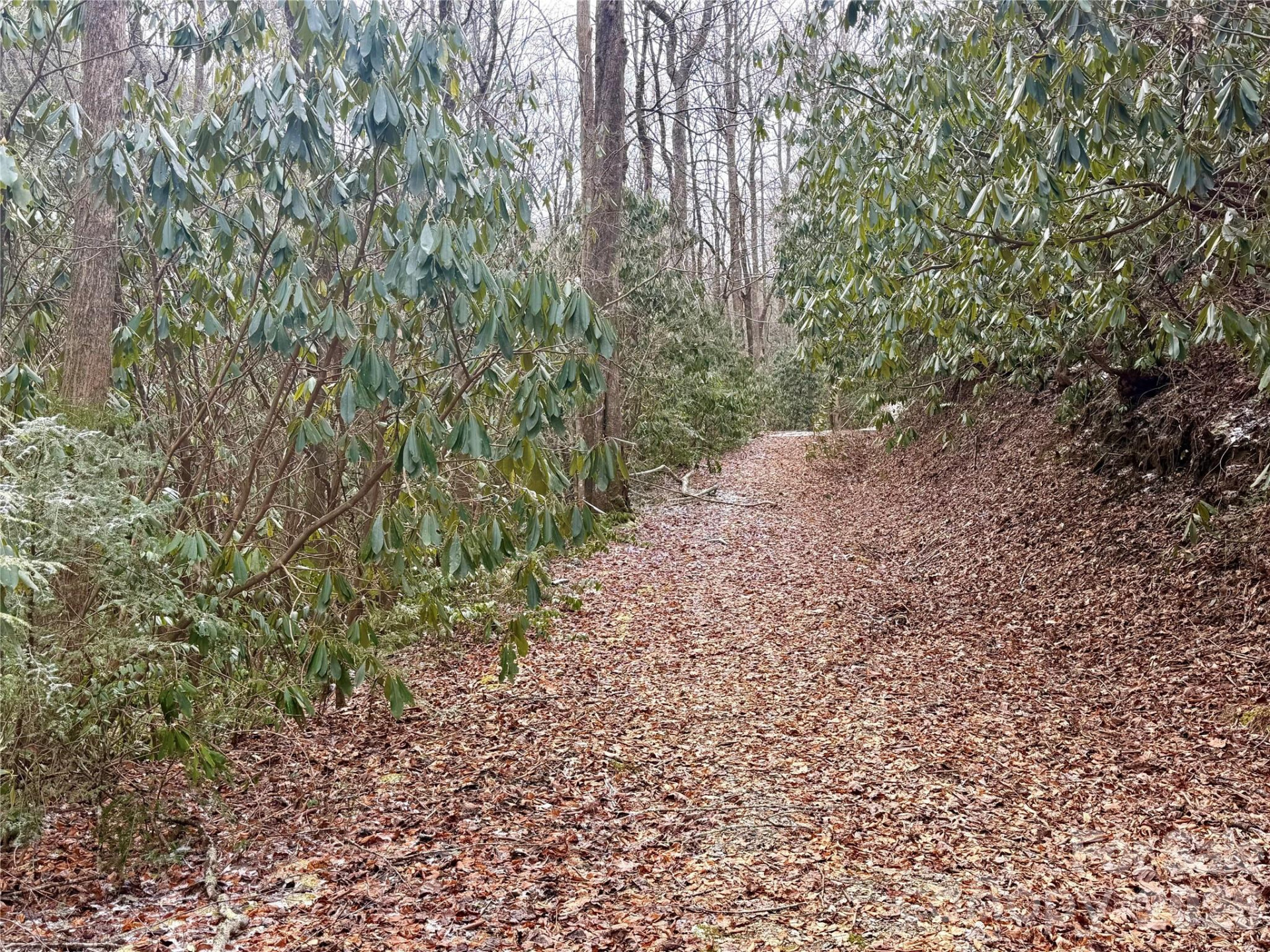 581 Hubbard Hollow Road - Photo 40