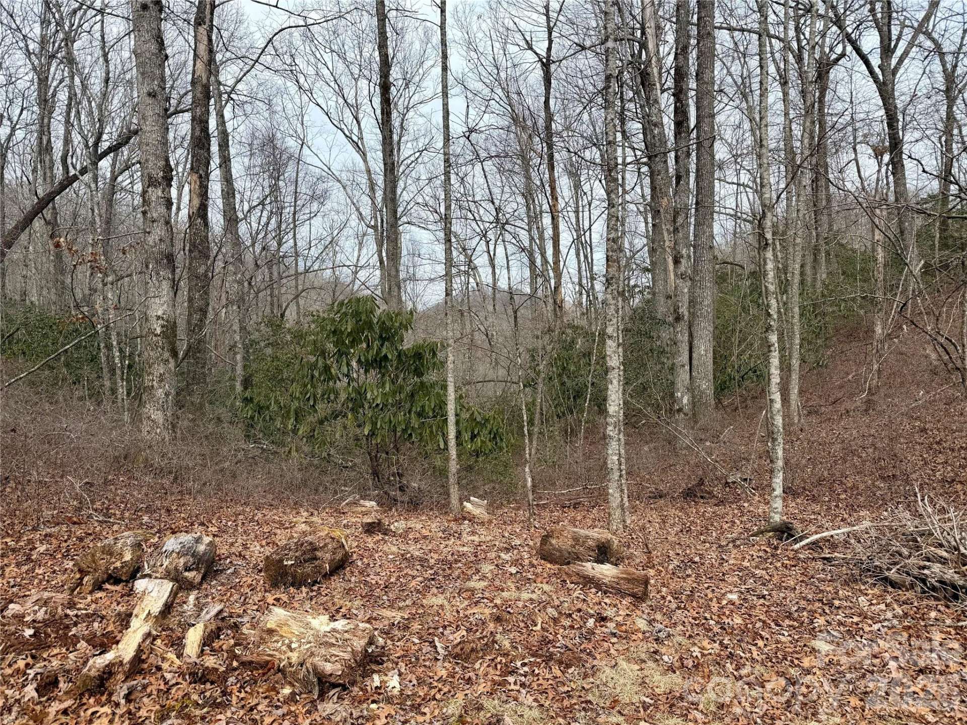 581 Hubbard Hollow Road - Photo 41