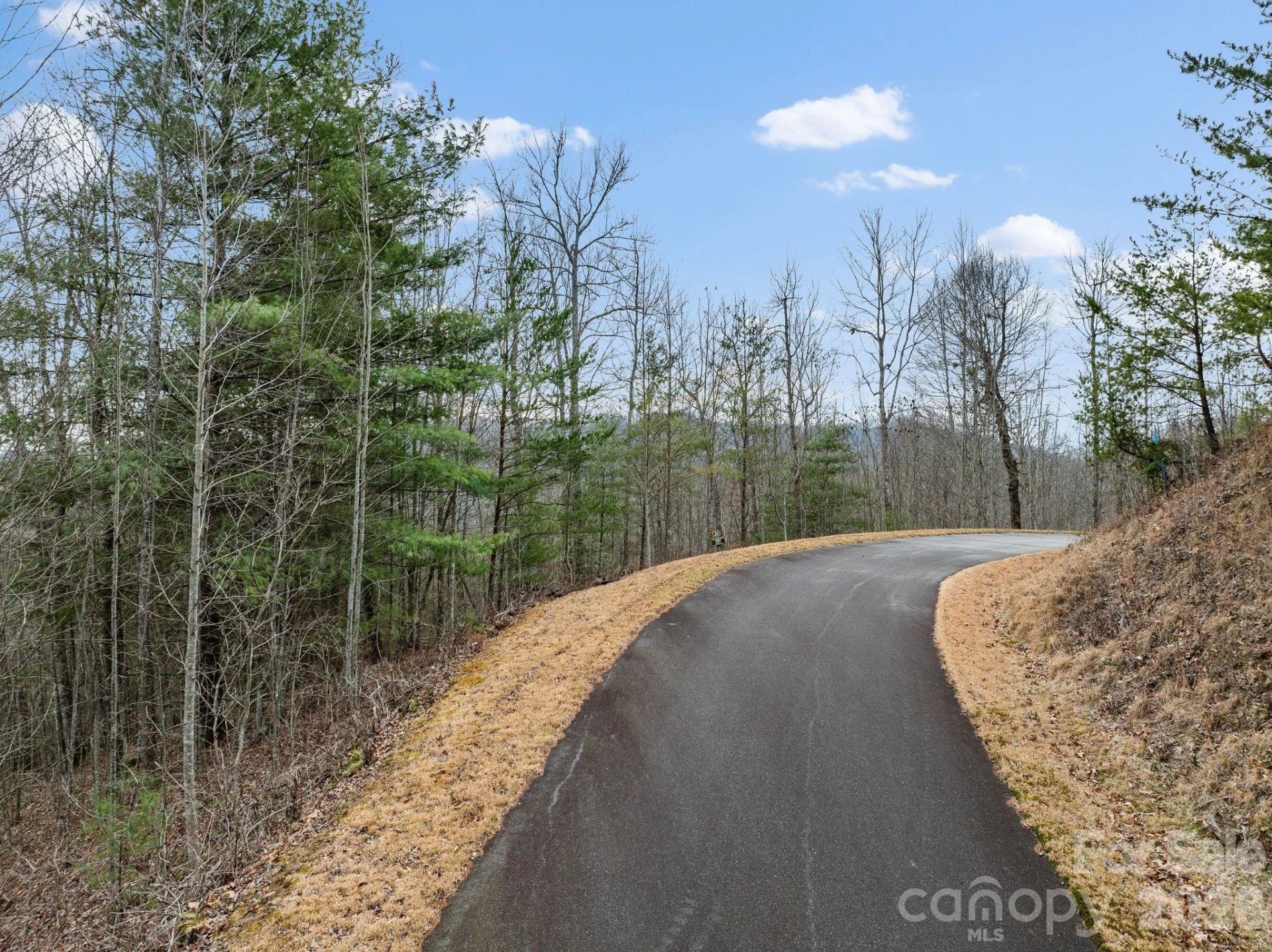 400 Pine Cone Trail #20 - Photo 3