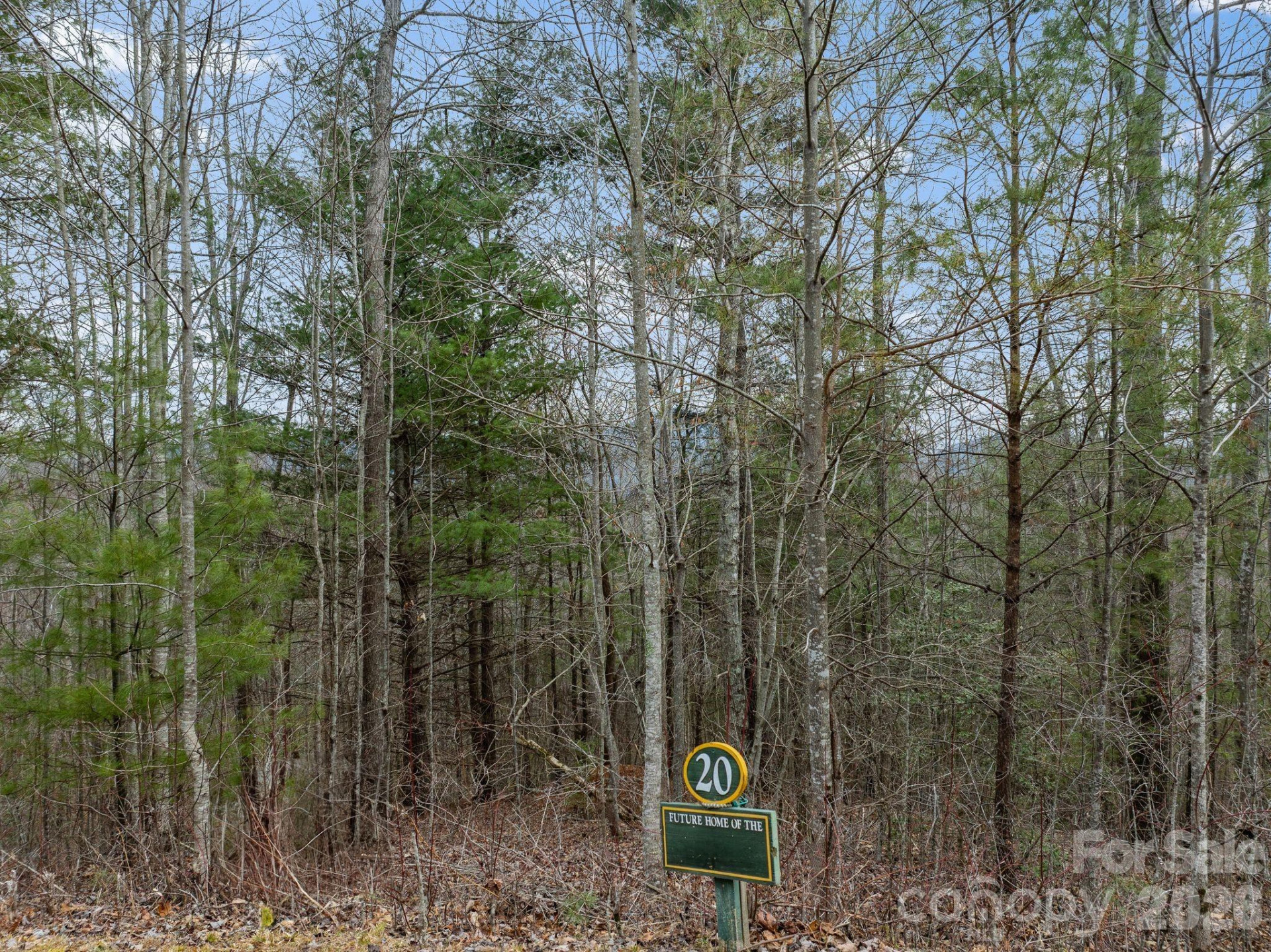 400 Pine Cone Trail #20 - Photo 4