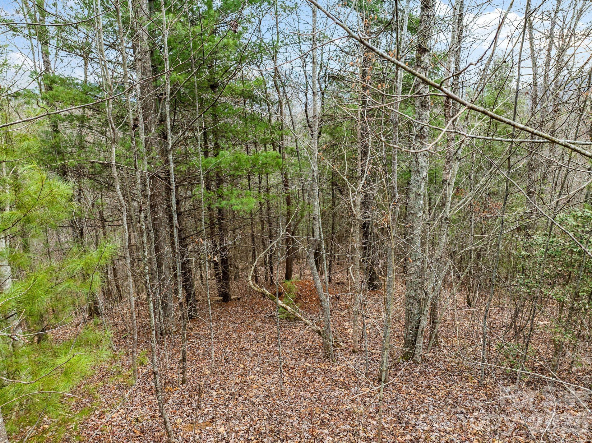 400 Pine Cone Trail #20 - Photo 7