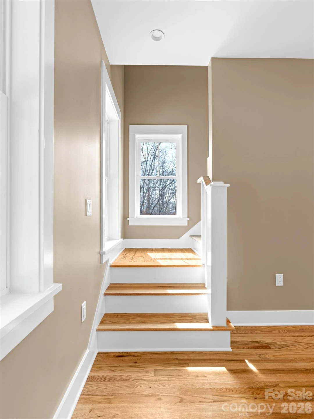 112 Alma Lane - Photo 25