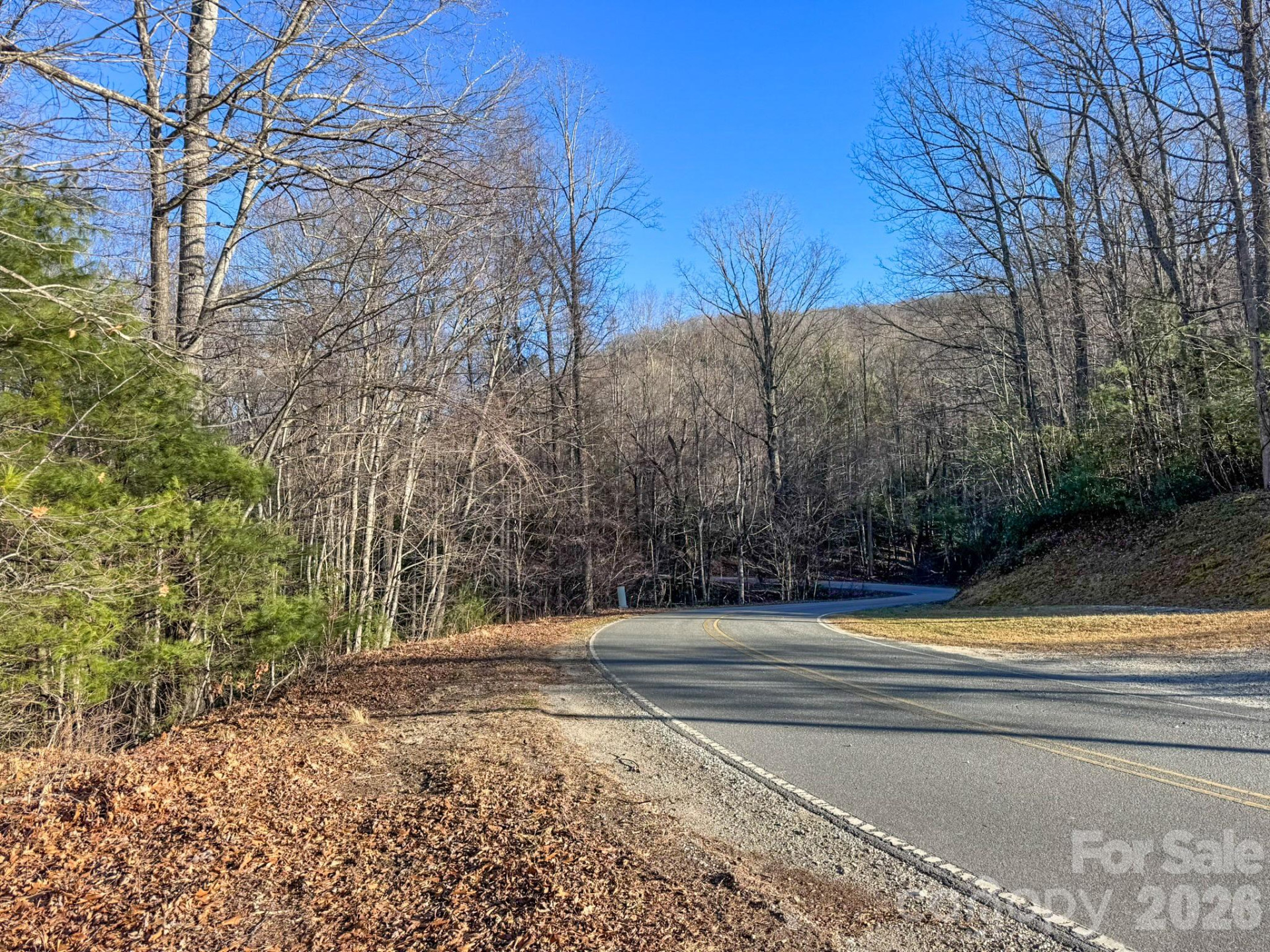 000 Old CCC Road #3 - Photo 11