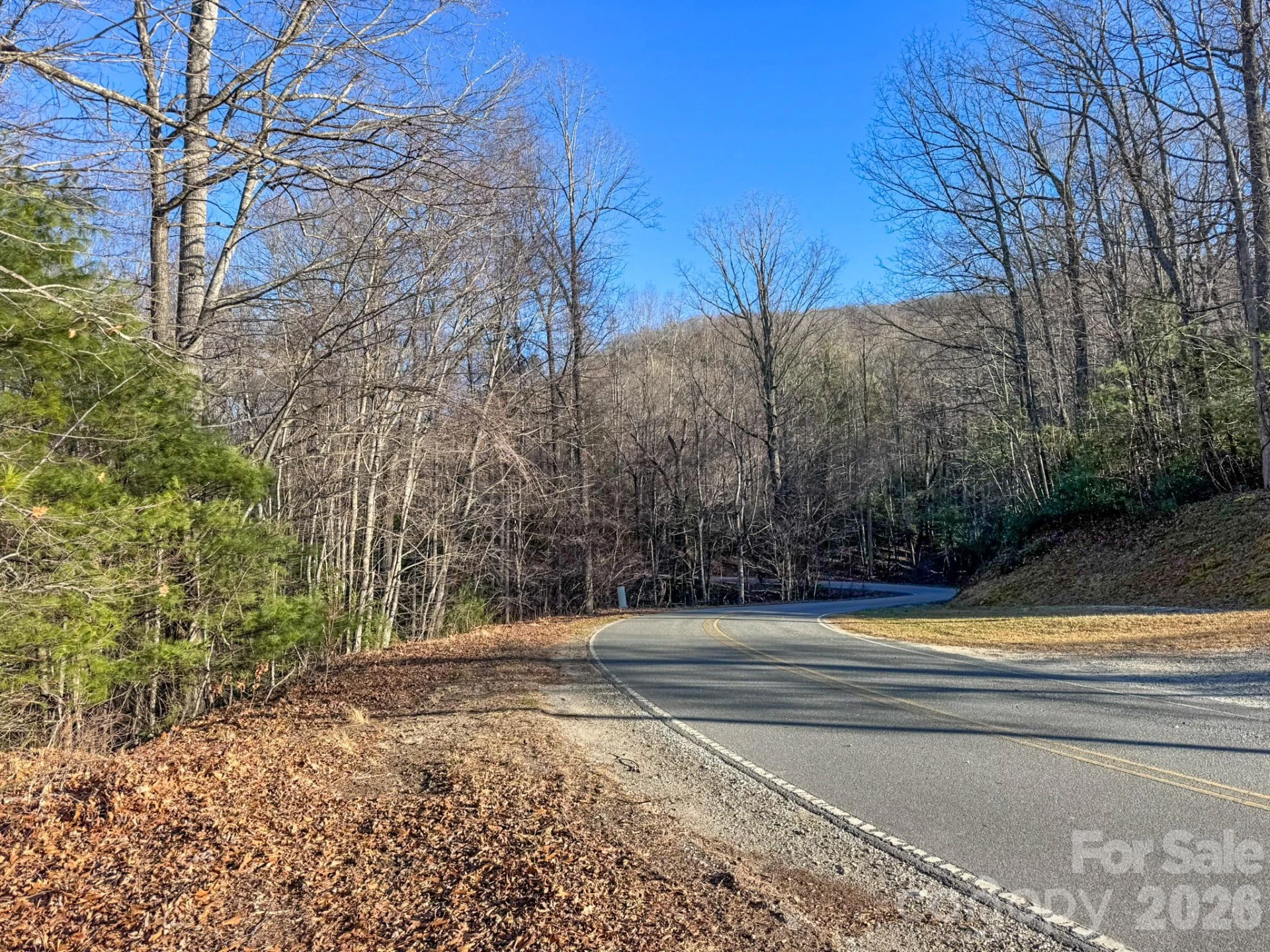 000 Old CCC Road #3 - Photo 11