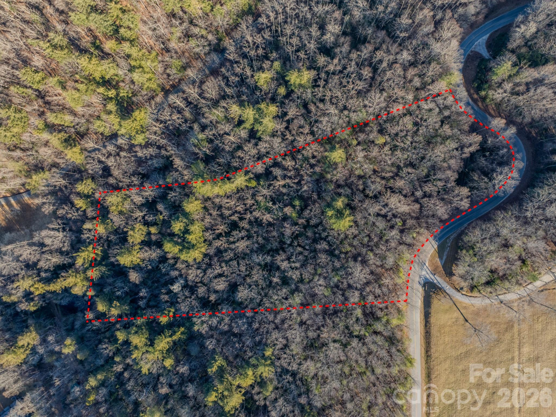 000 Old CCC Road #3 - Photo 15