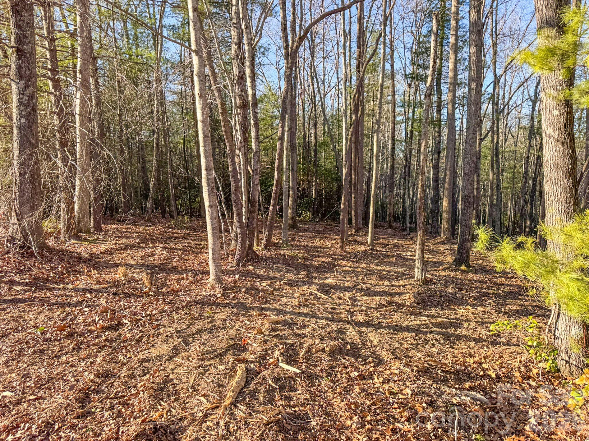 000 Old CCC Road #3 - Photo 17