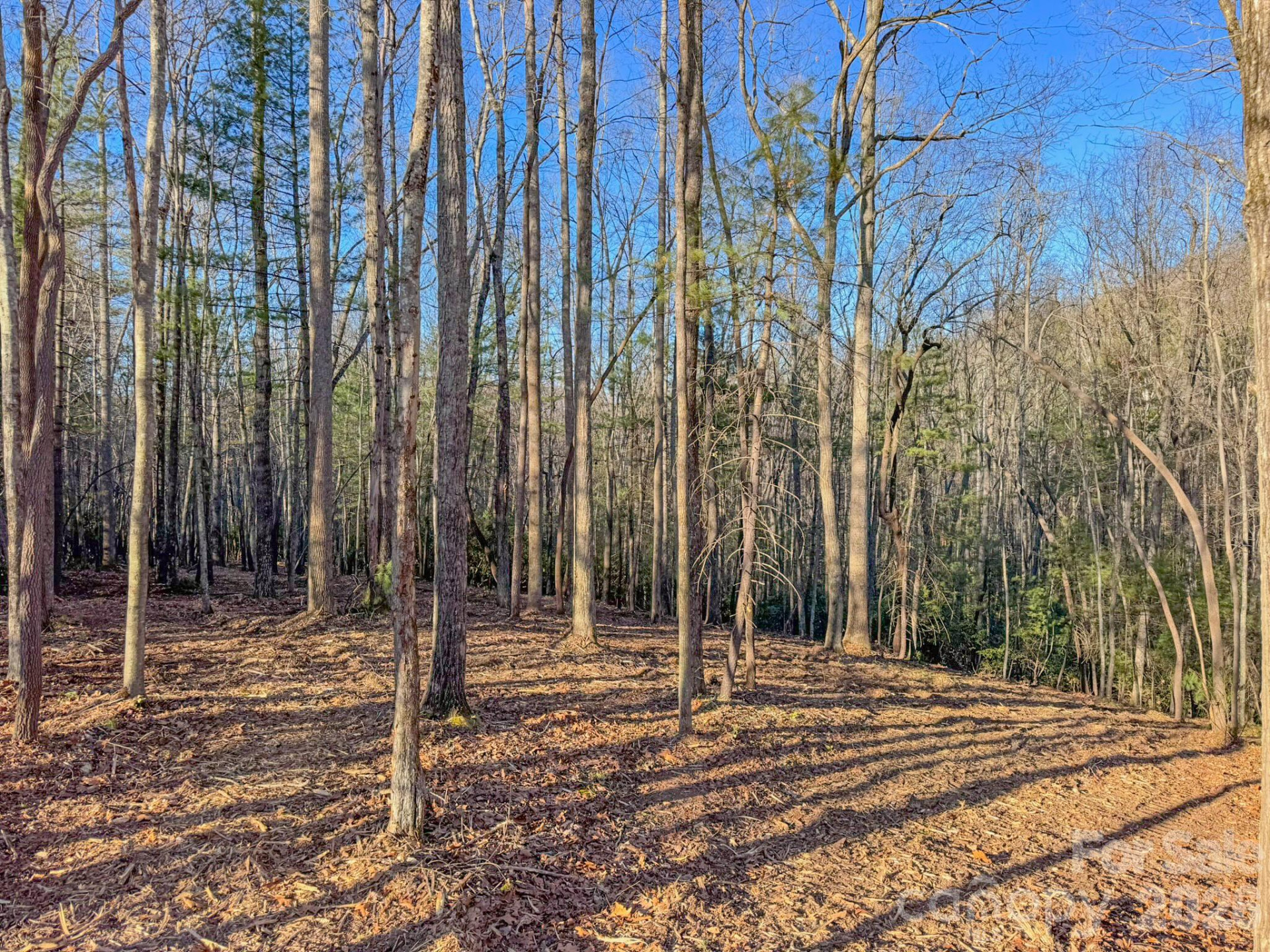 000 Old CCC Road #3 - Photo 18
