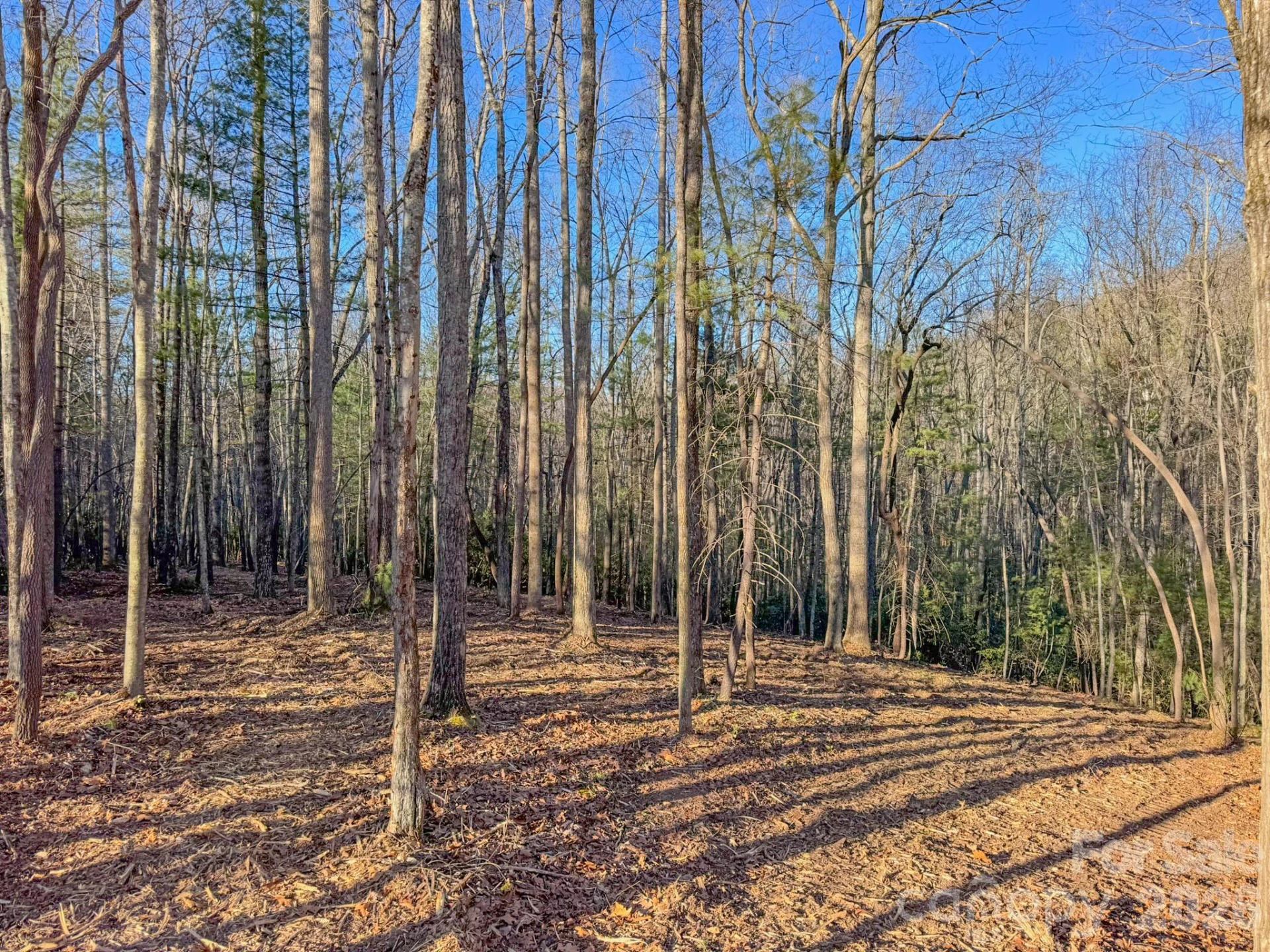 000 Old CCC Road #3 - Photo 18