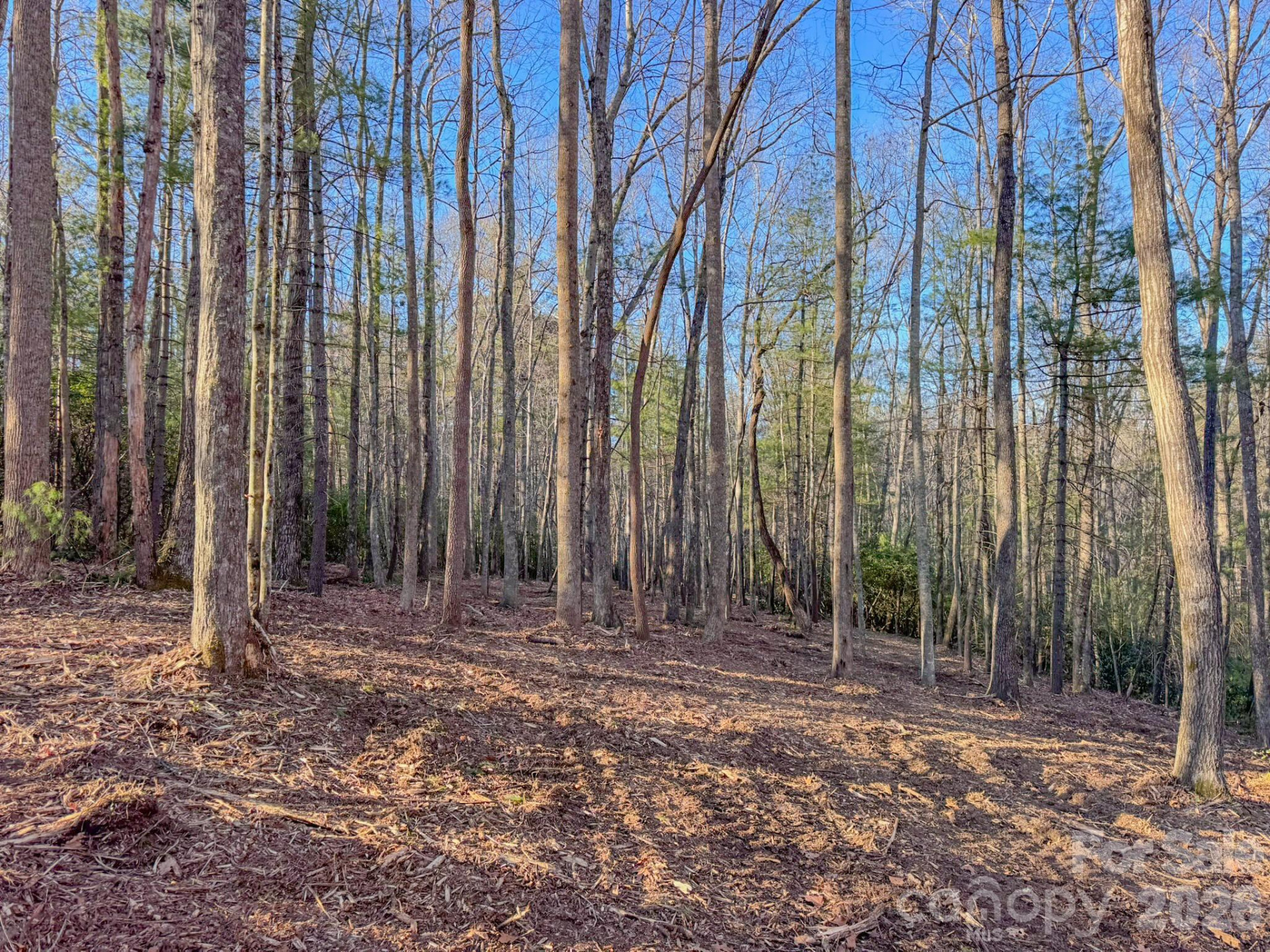 000 Old CCC Road #3 - Photo 19