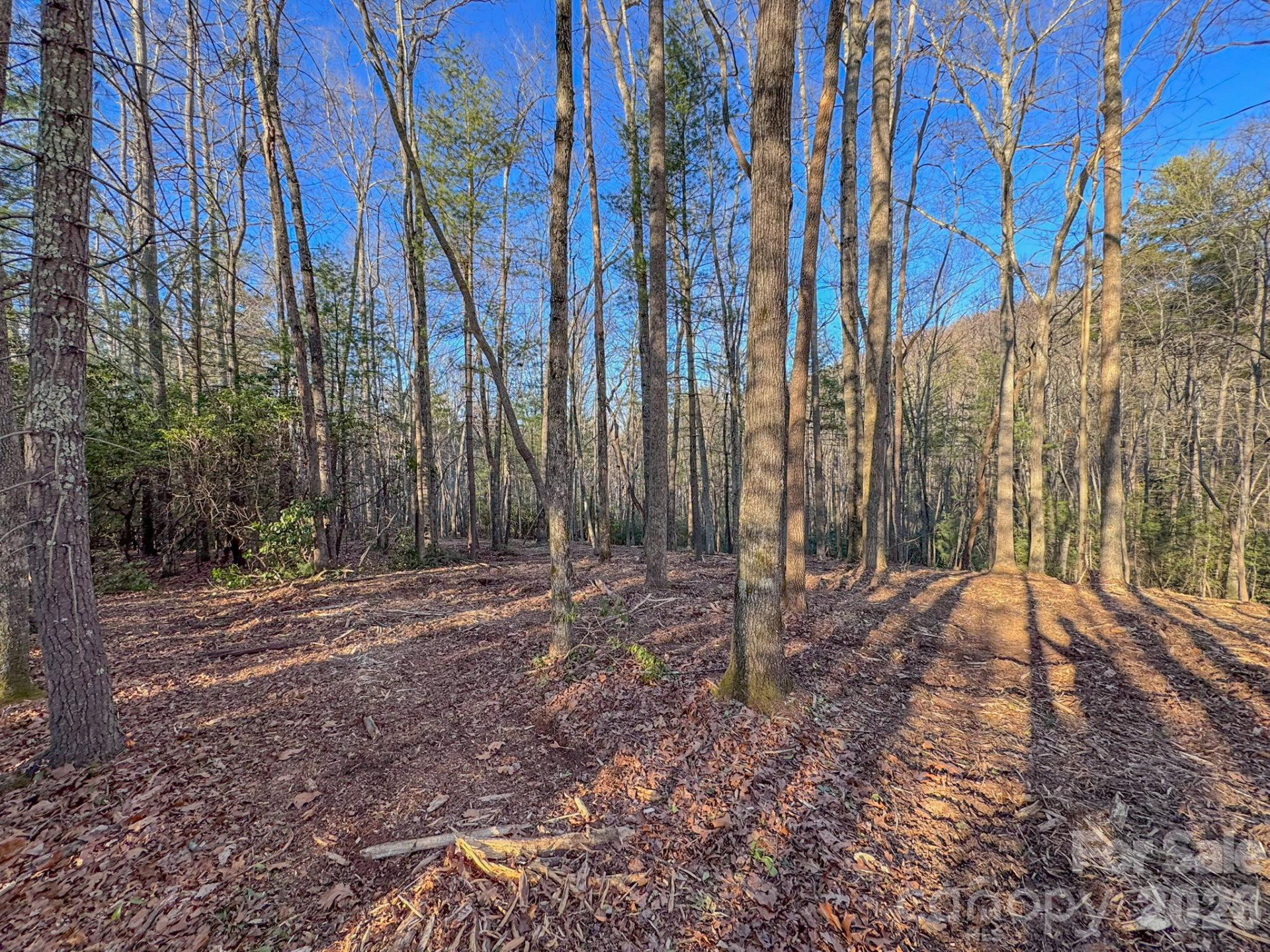 000 Old CCC Road #3 - Photo 20