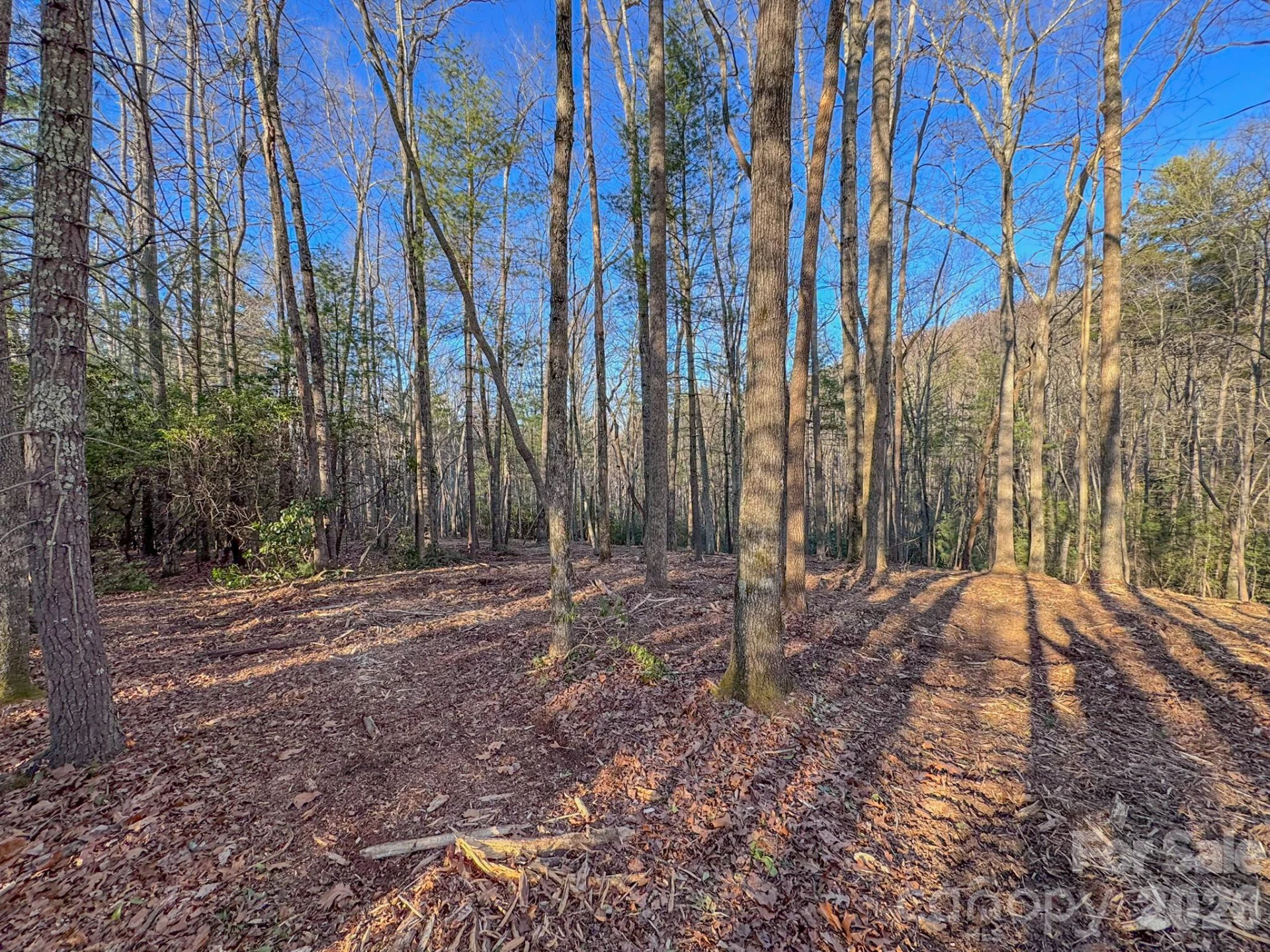 000 Old CCC Road #3 - Photo 20