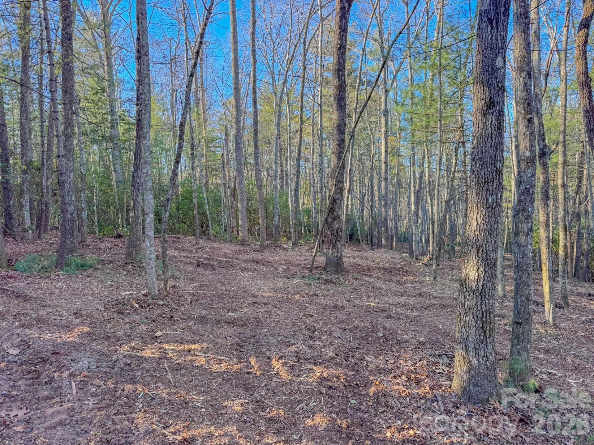 000 Old CCC Road #3 - Photo 21