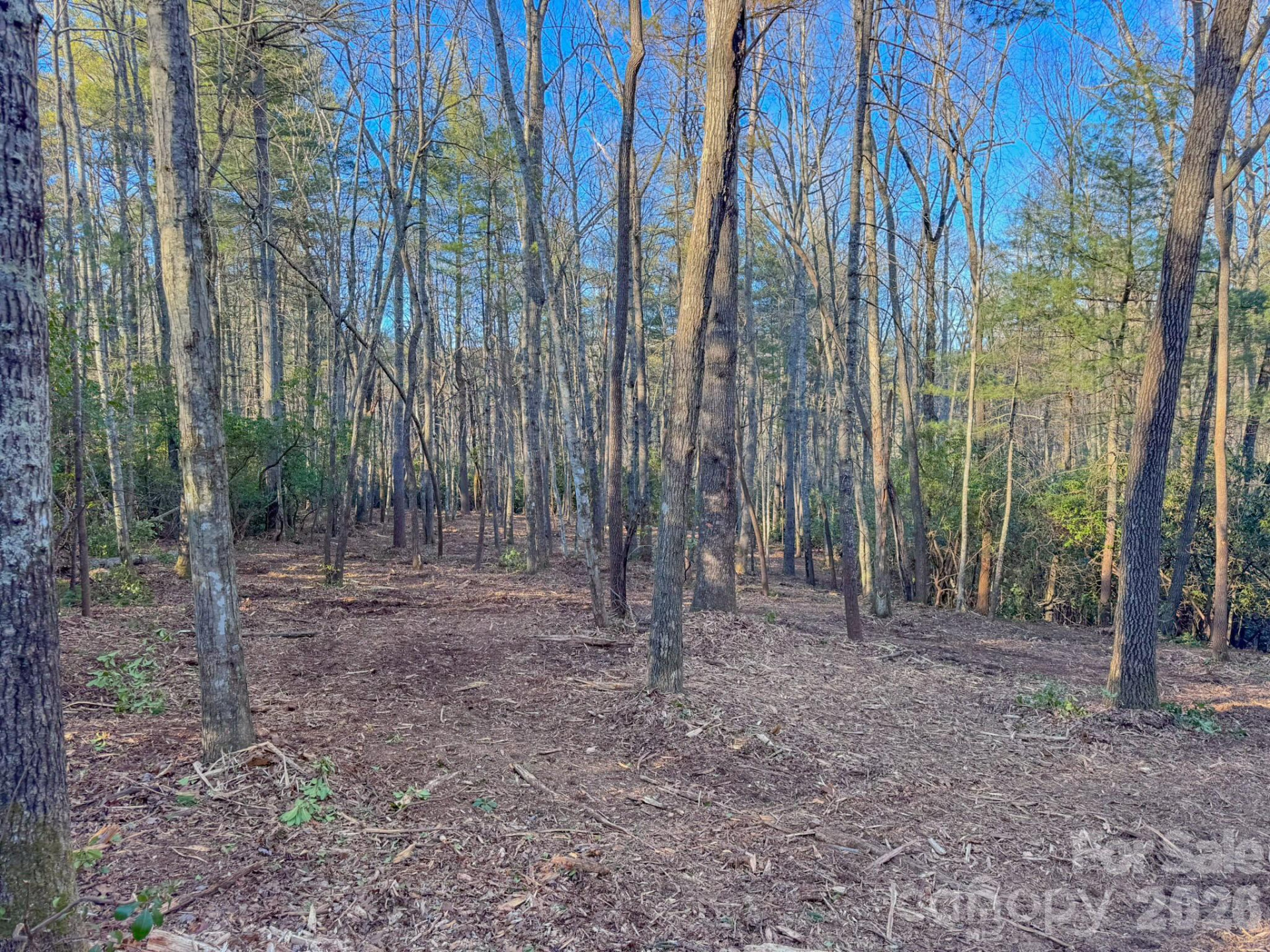 000 Old CCC Road #3 - Photo 22
