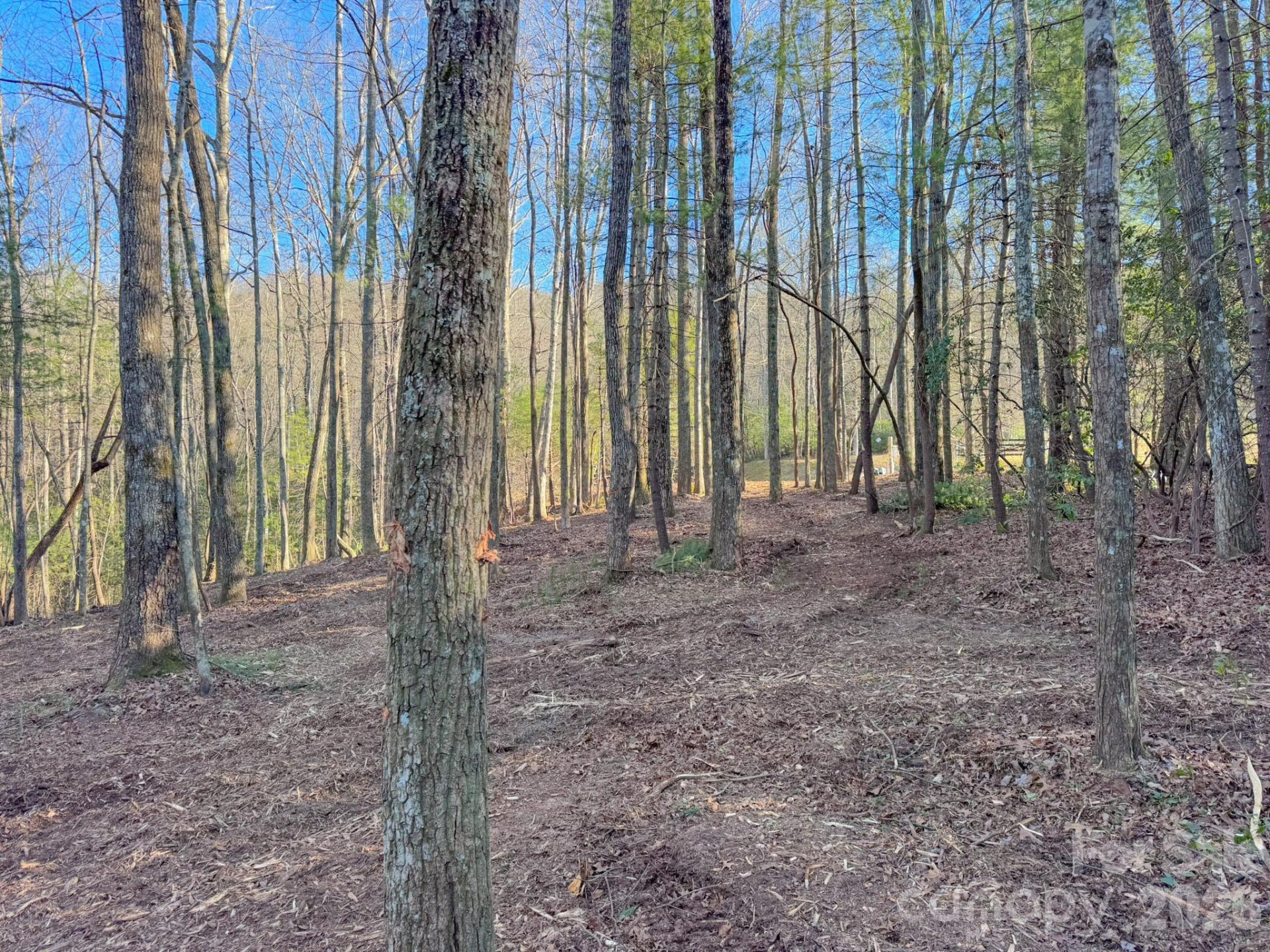 000 Old CCC Road #3 - Photo 23