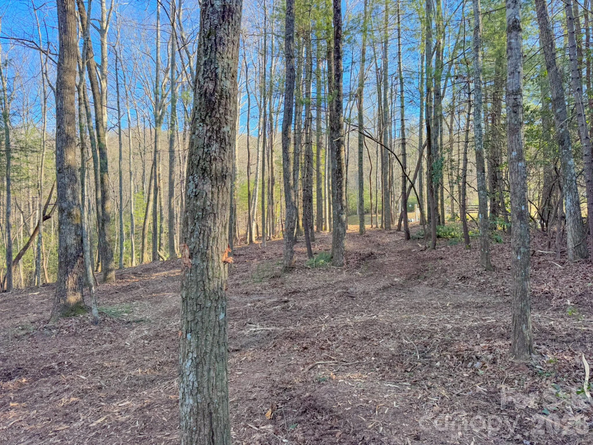 000 Old CCC Road #3 - Photo 23