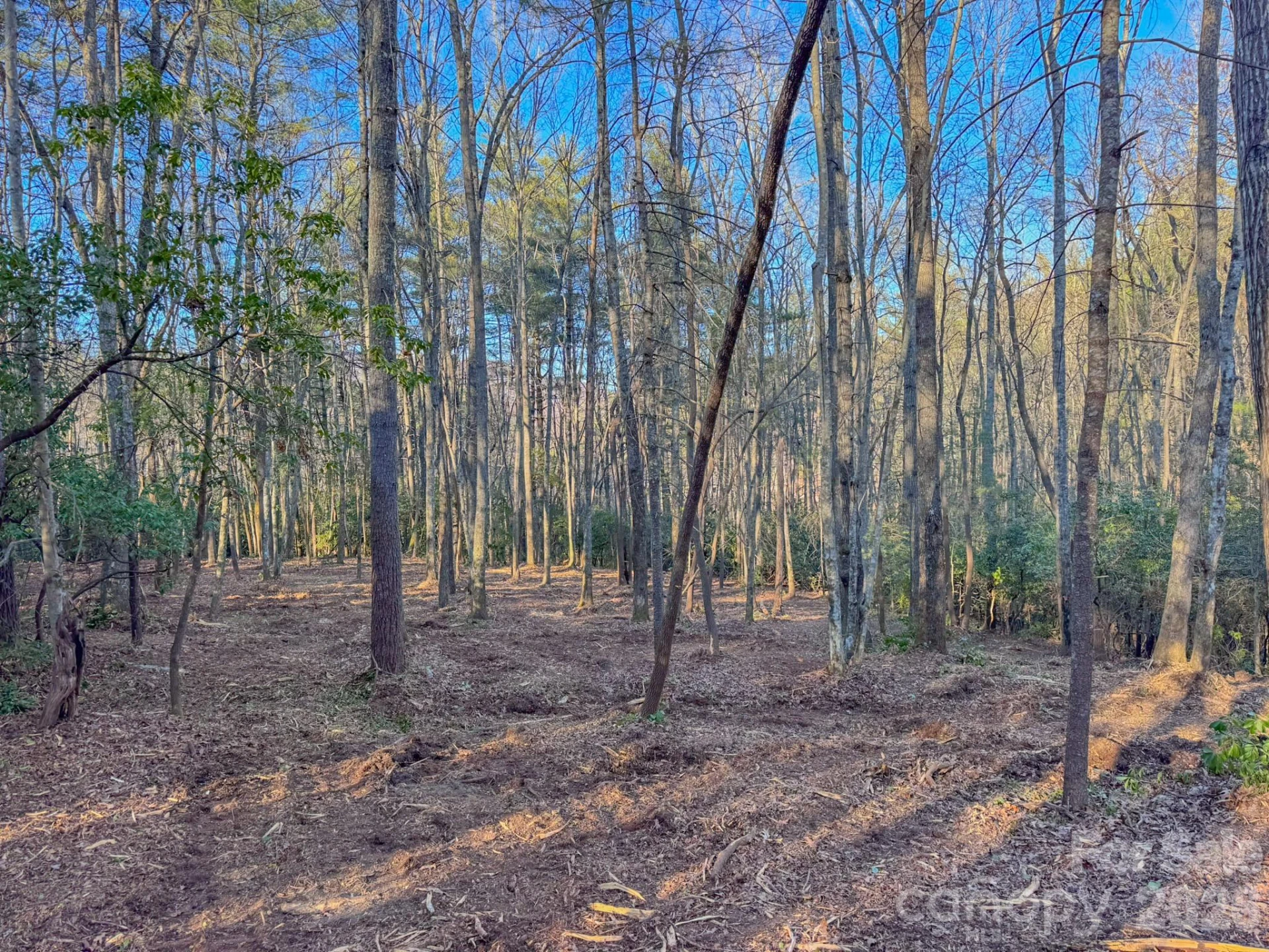 000 Old CCC Road #3 - Photo 24