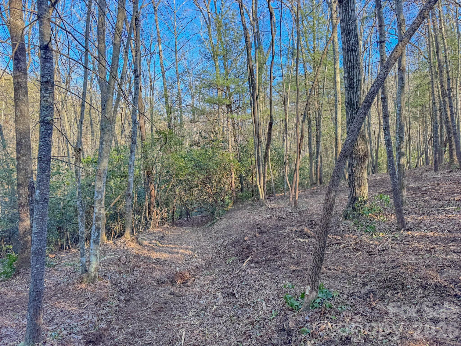 000 Old CCC Road #3 - Photo 25
