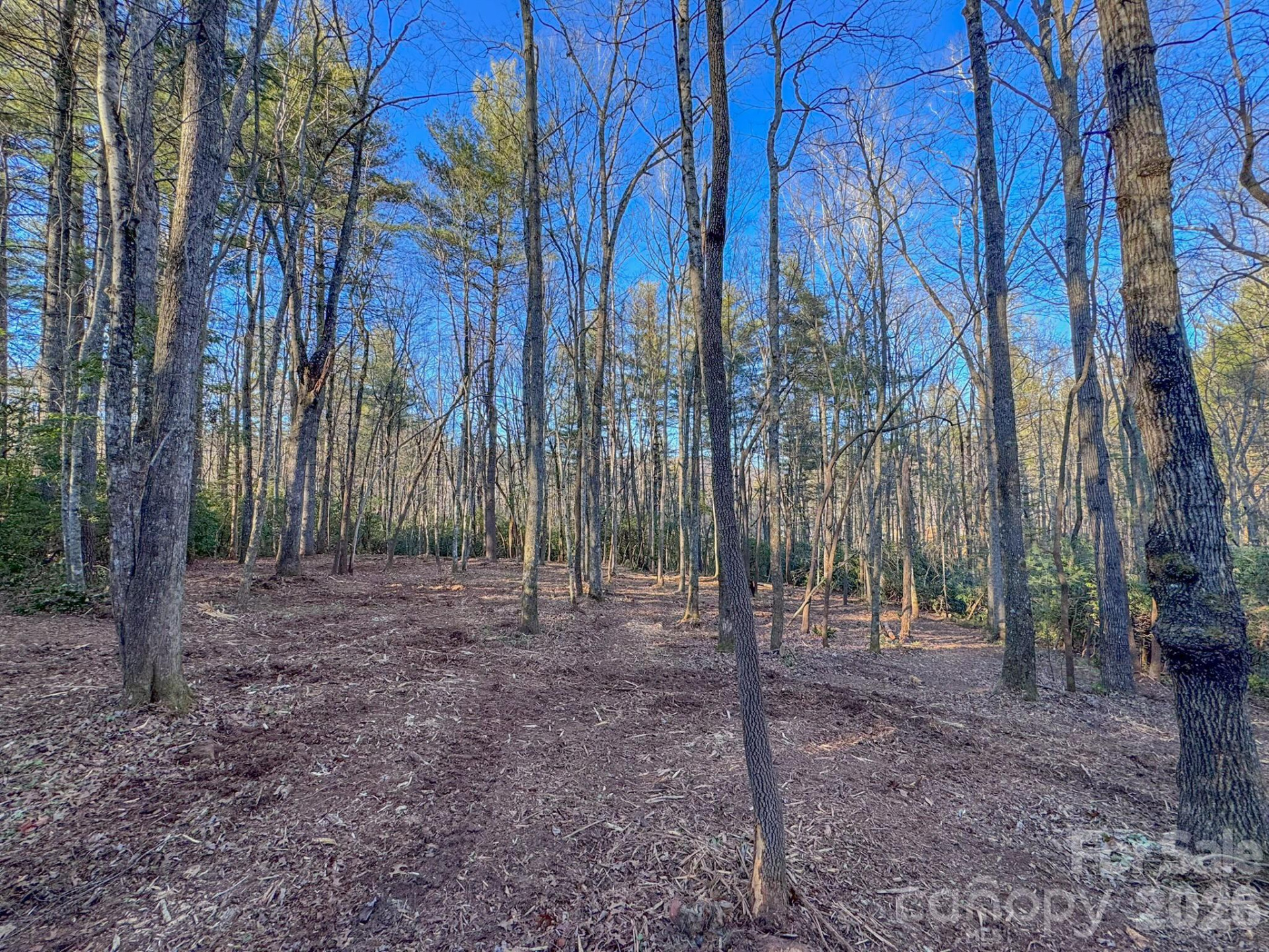 000 Old CCC Road #3 - Photo 26