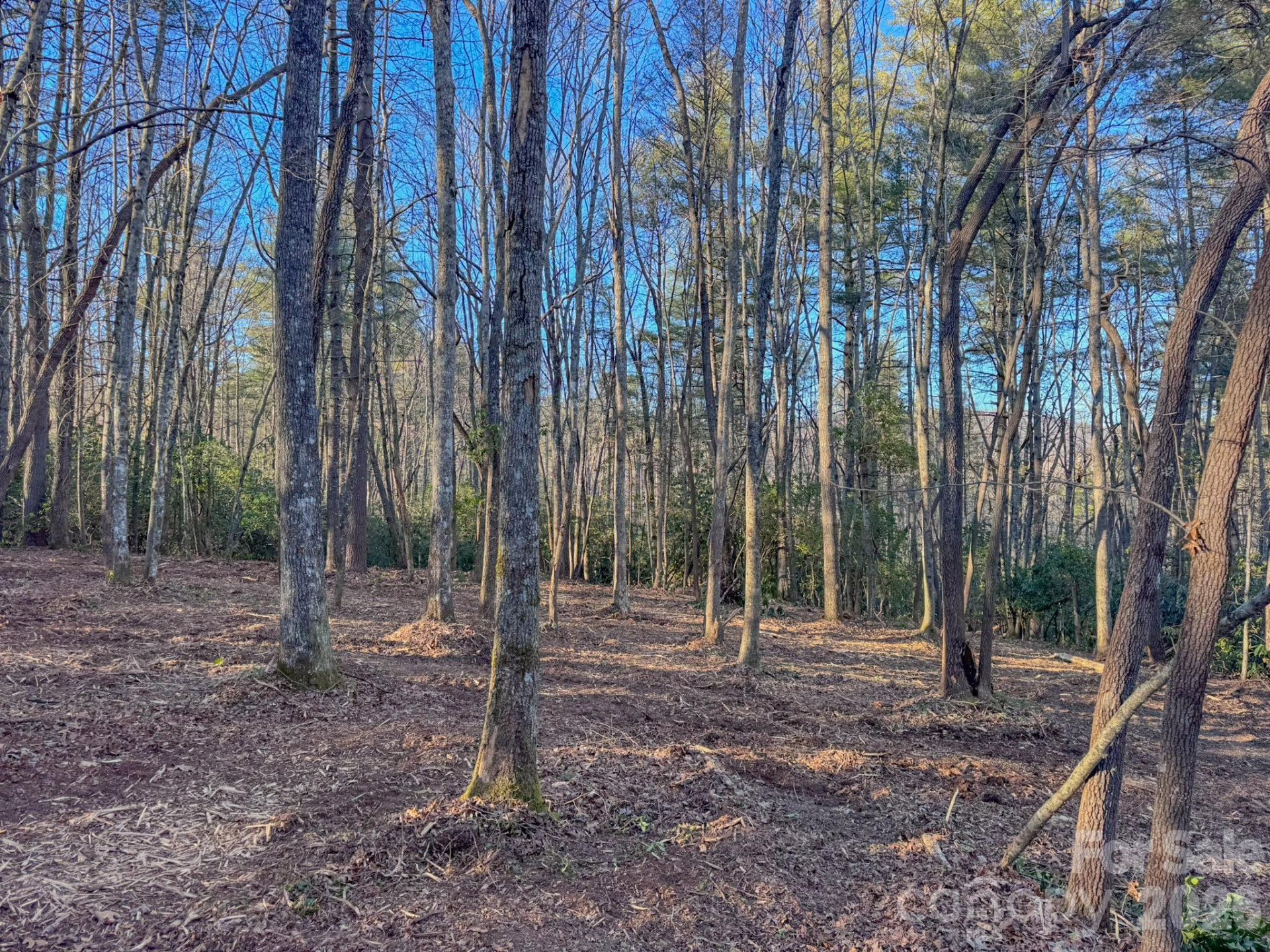 000 Old CCC Road #3 - Photo 27
