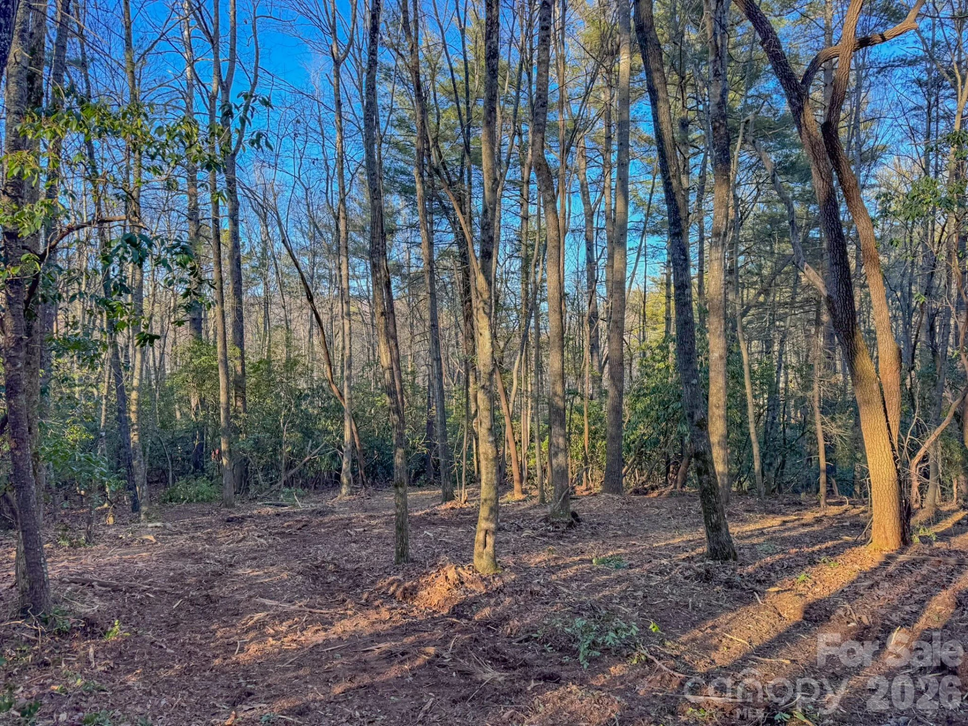 000 Old CCC Road #3 - Photo 28