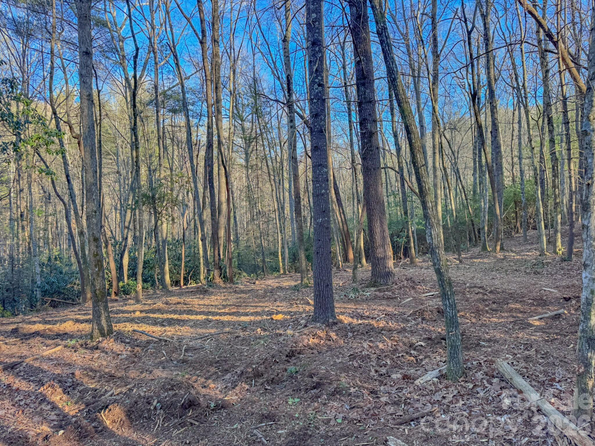 000 Old CCC Road #3 - Photo 29