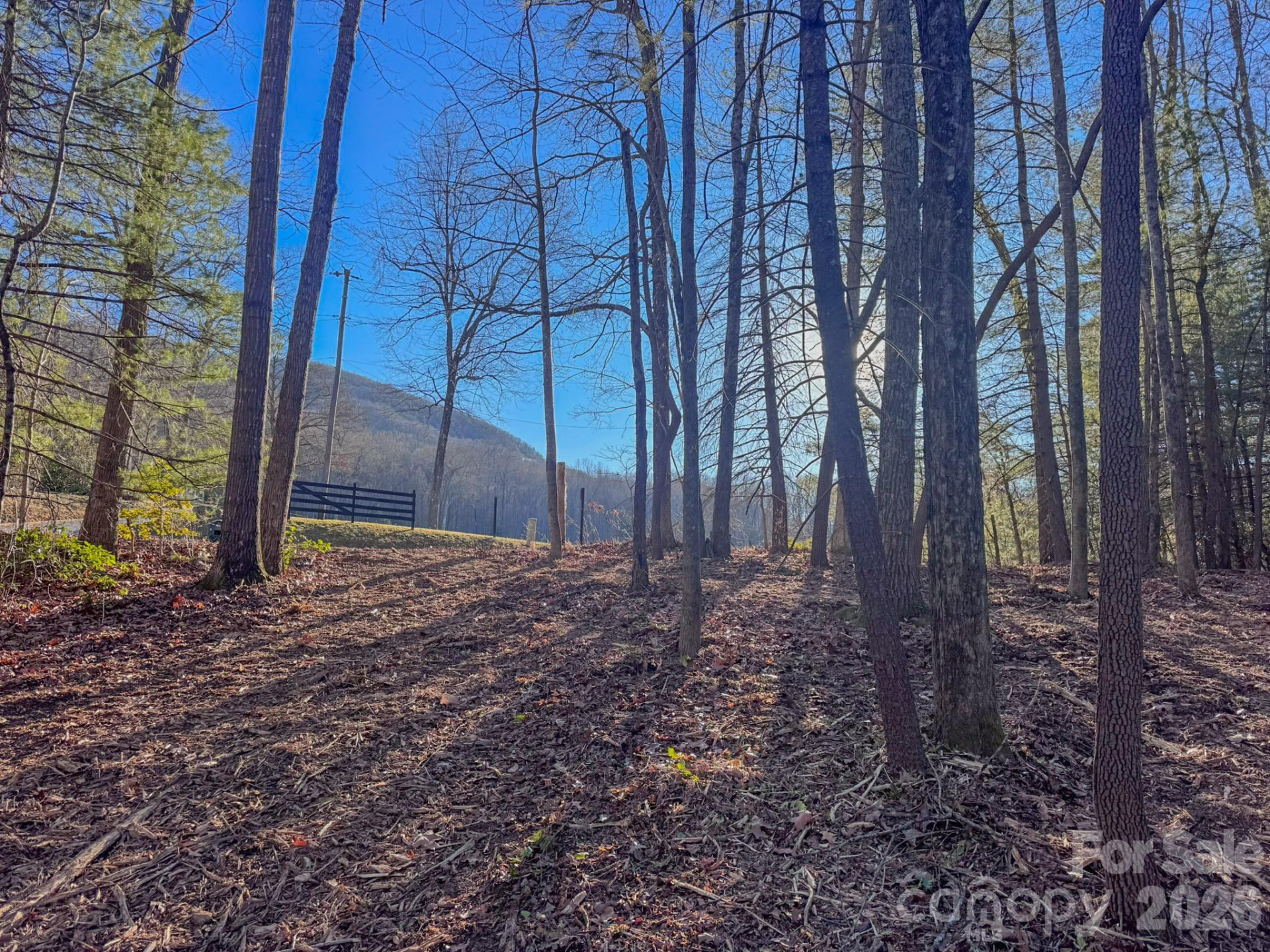000 Old CCC Road #3 - Photo 30