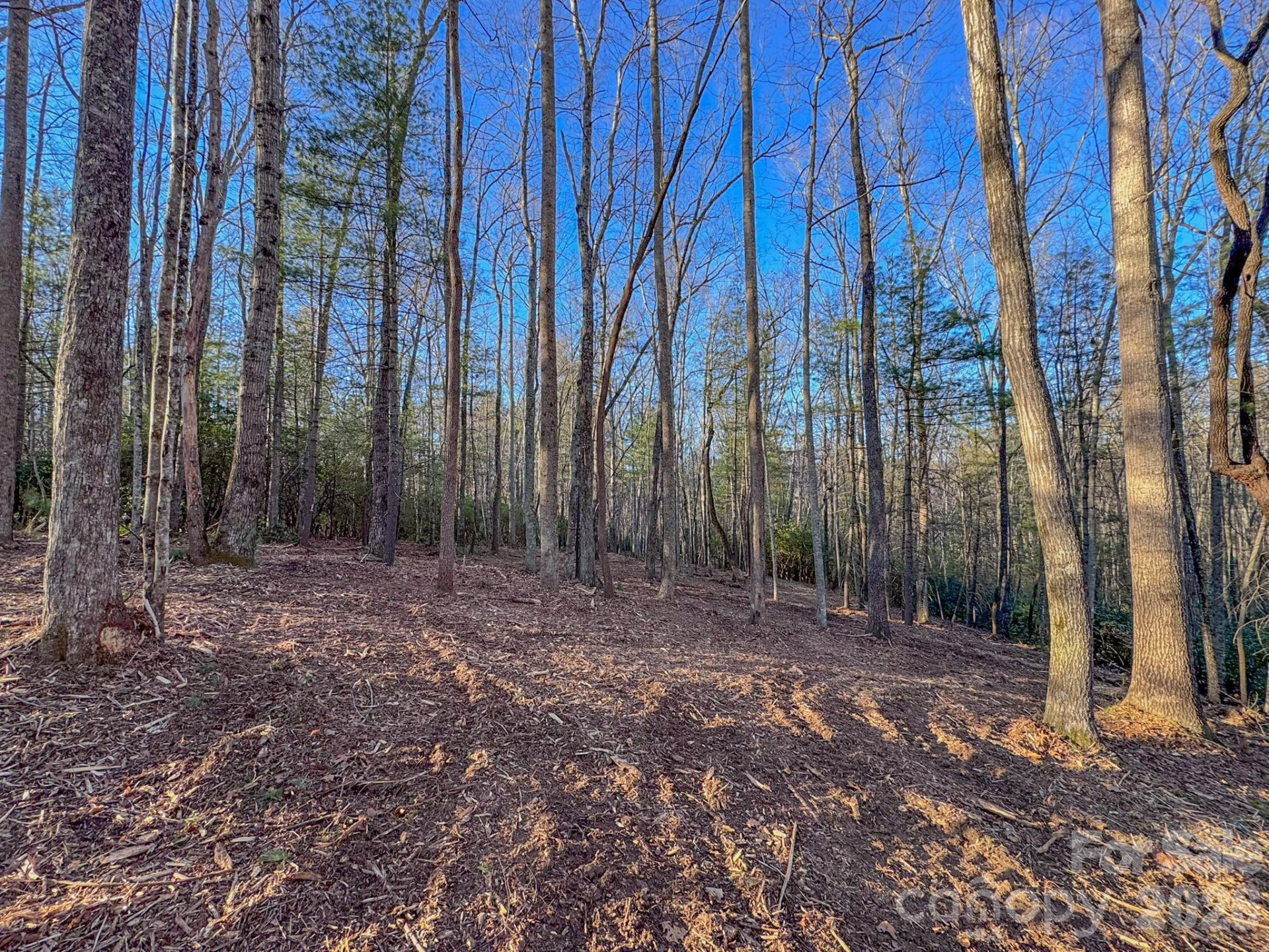 000 Old CCC Road #3 - Photo 31