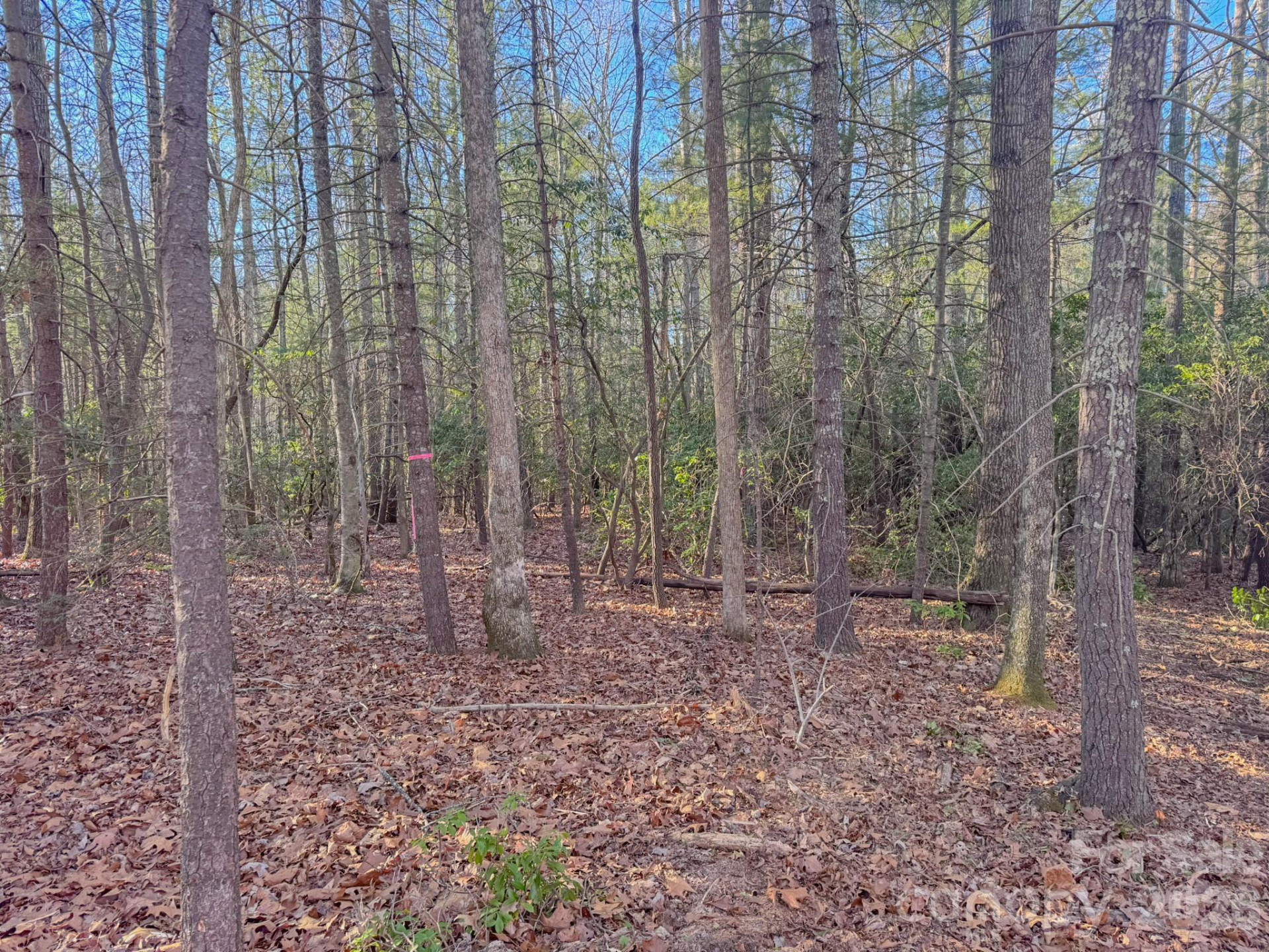 000 Old CCC Road #3 - Photo 32