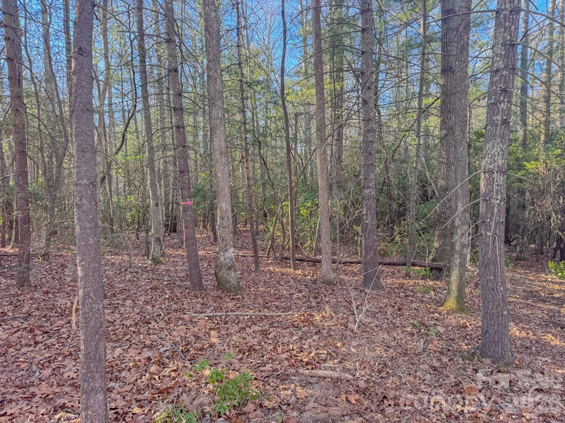 000 Old CCC Road #3 - Photo 32
