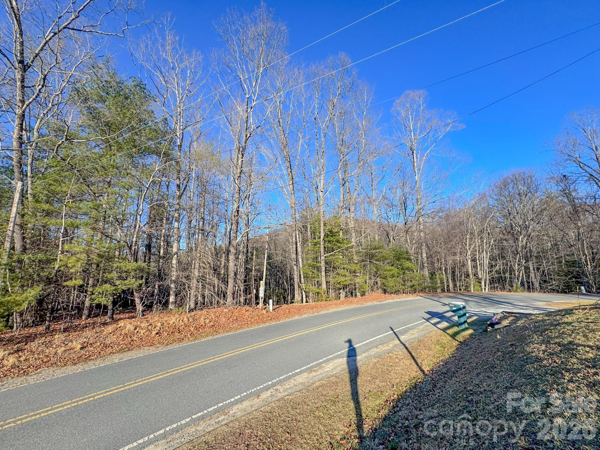 000 Old CCC Road #3 - Photo 5