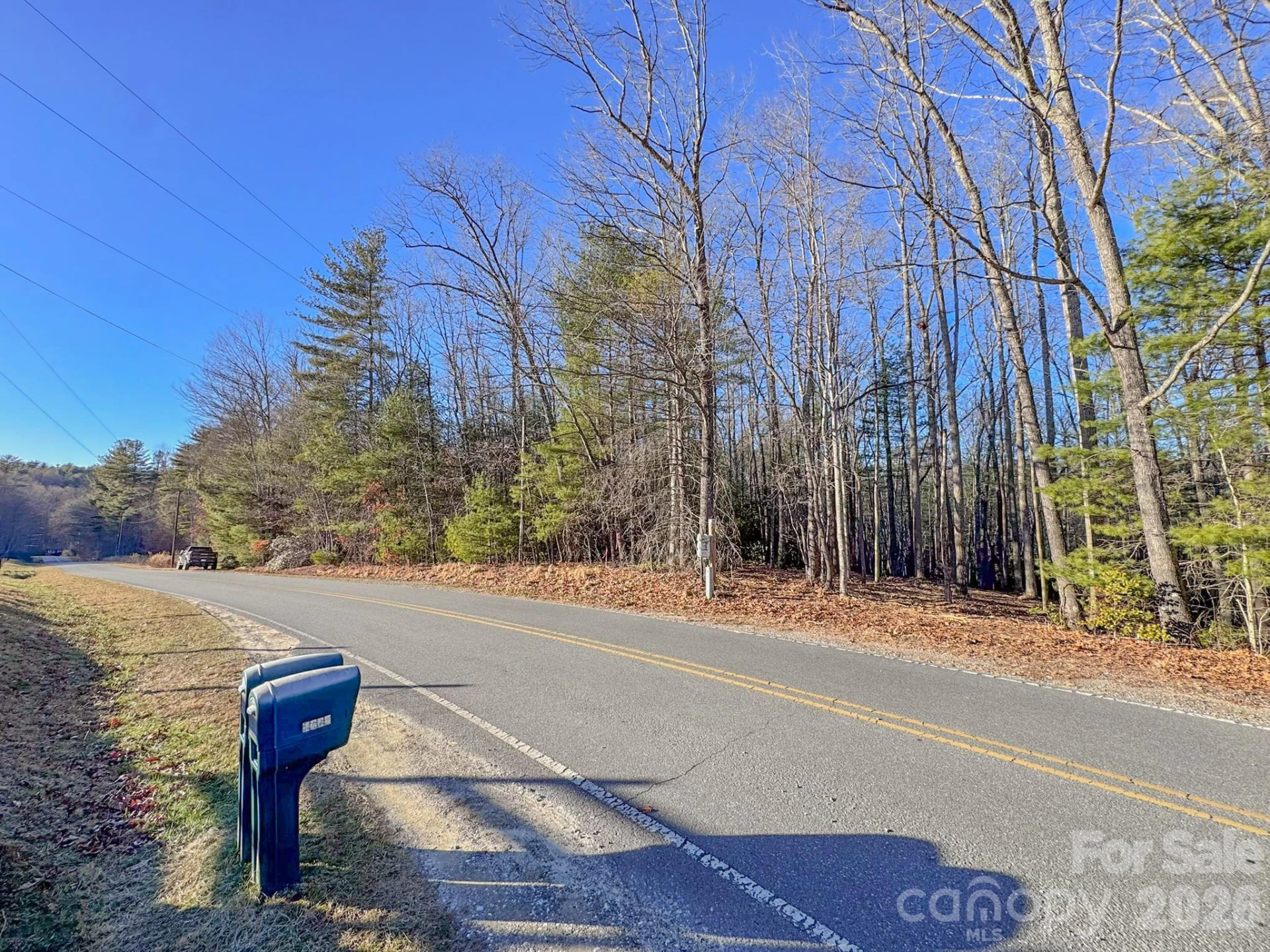 000 Old CCC Road #3 - Photo 6