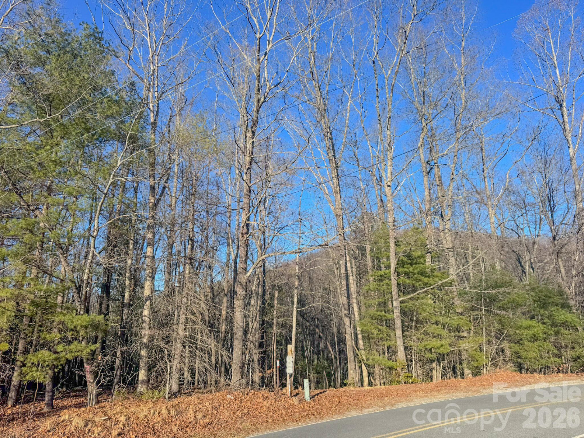 000 Old CCC Road #3 - Photo 7