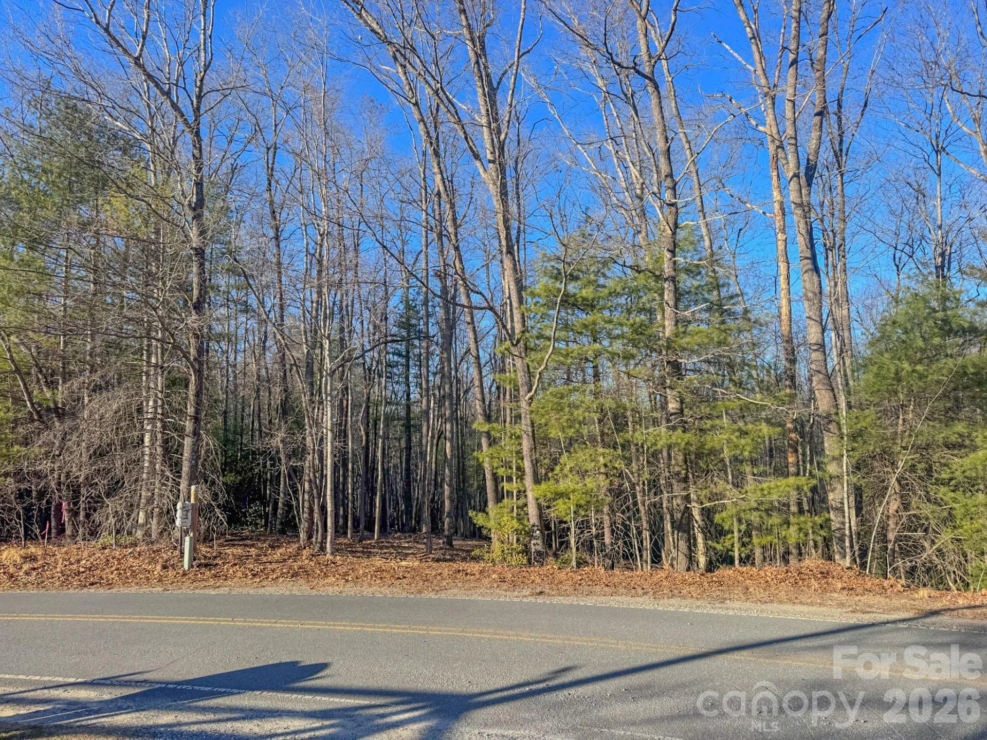 000 Old CCC Road #3 - Photo 8