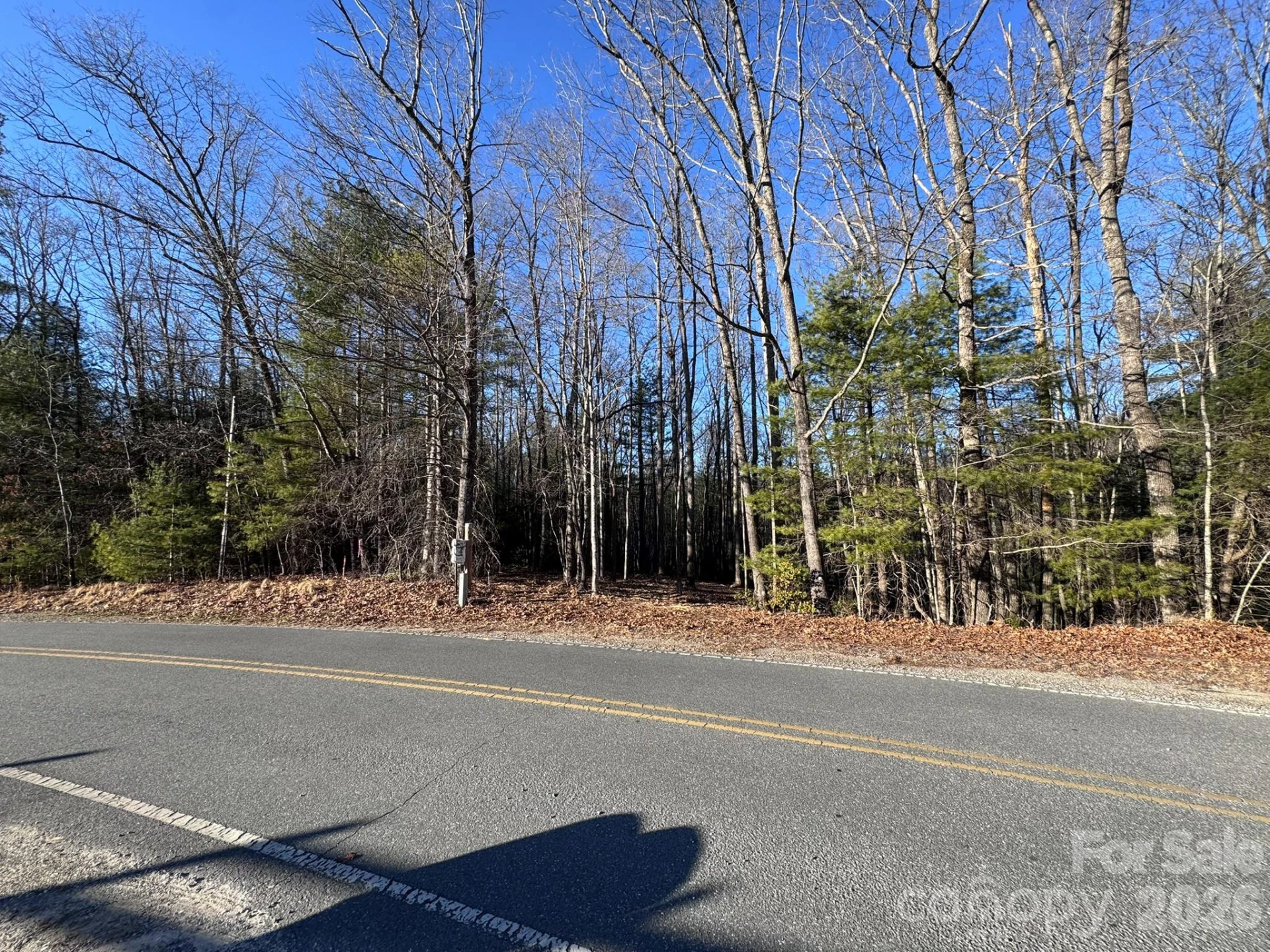 000 Old CCC Road #3 - Photo 9