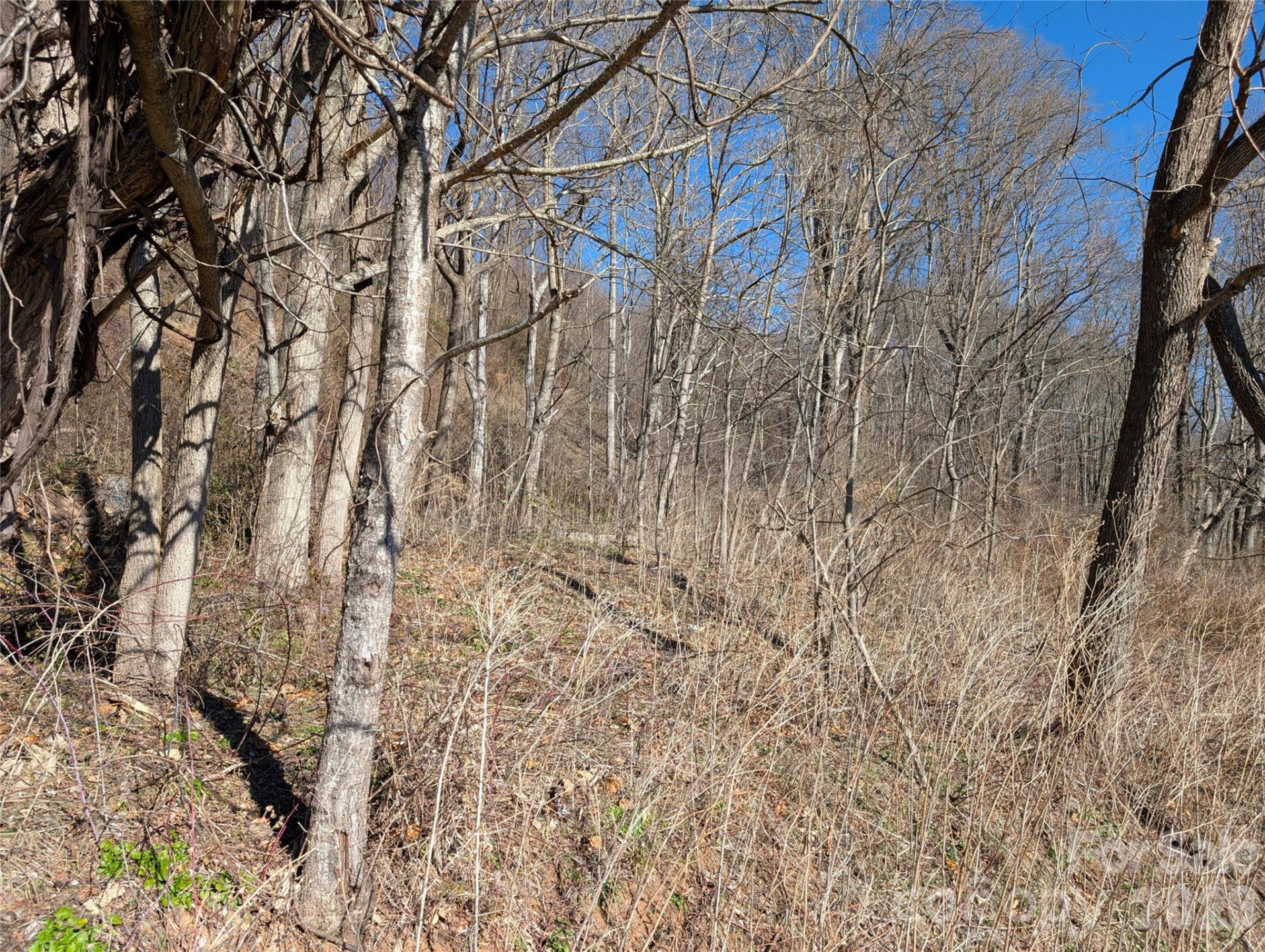 00 Great Smoky Mountain Expy Highway - Photo 2