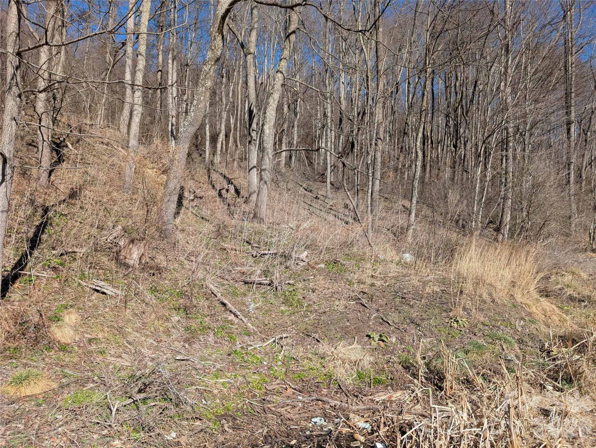 00 Great Smoky Mountain Expy Highway - Photo 3