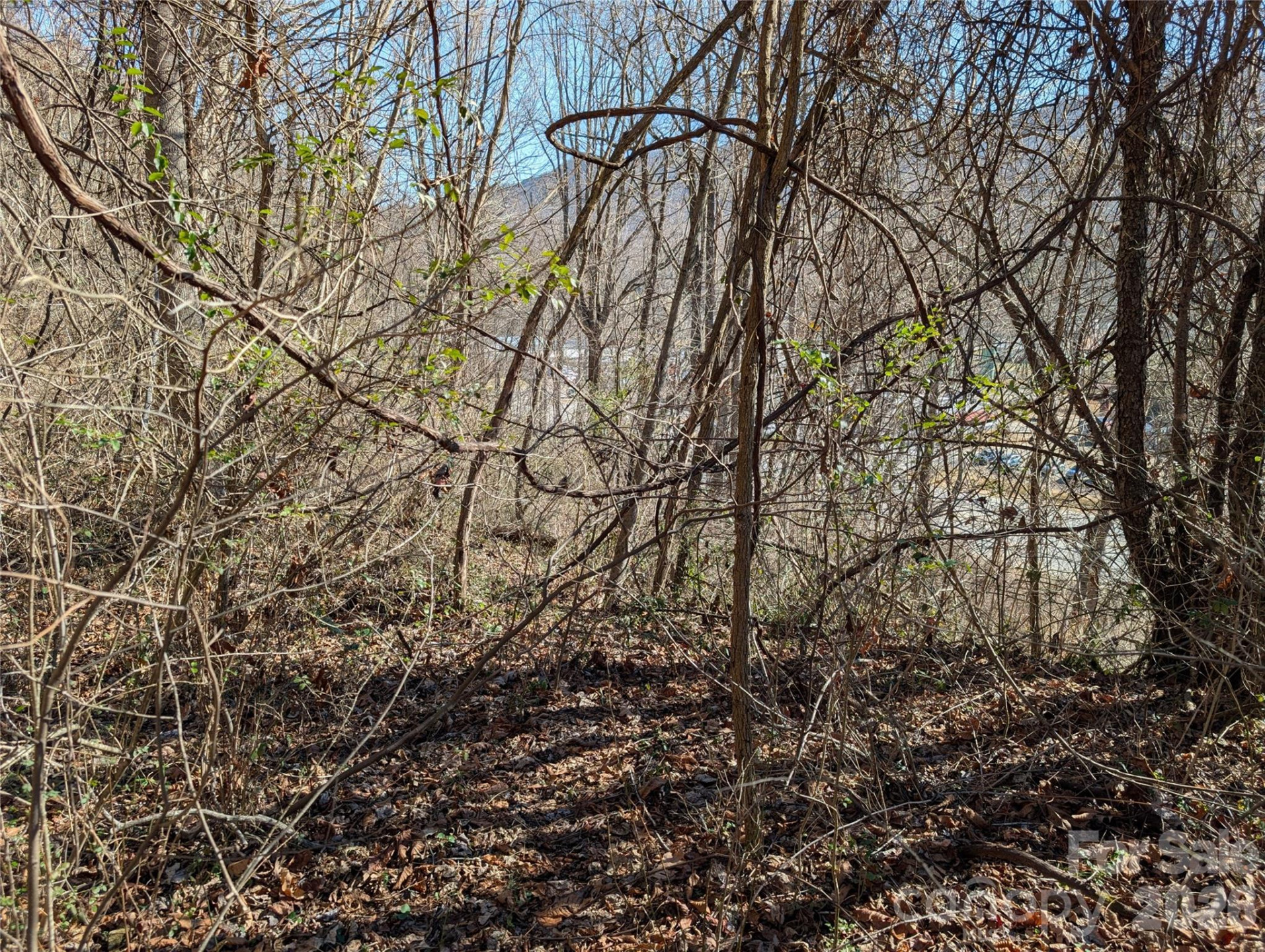 00 Great Smoky Mountain Expy Highway - Photo 5